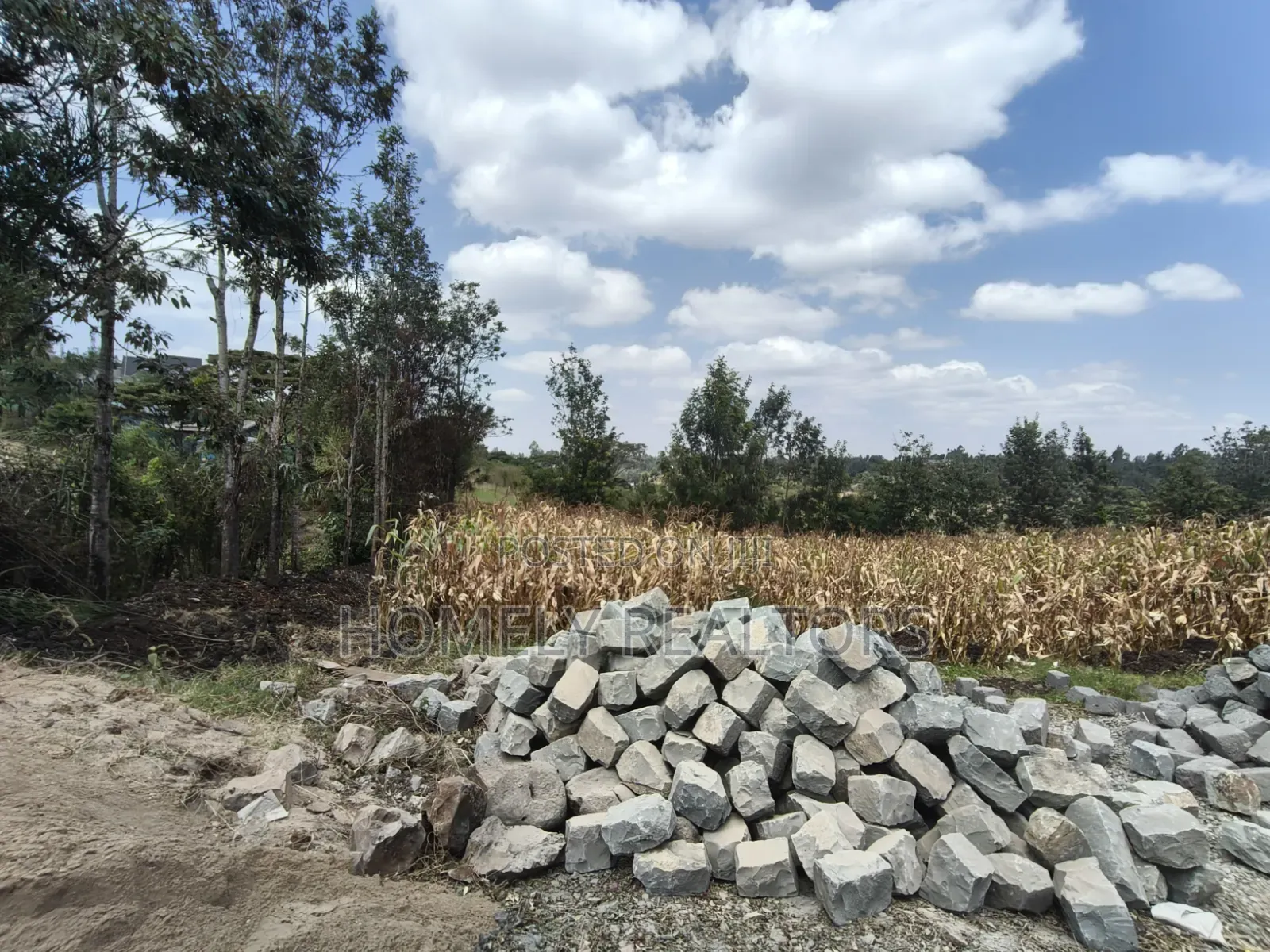 Prime Residential Quarter Acre Plot for Sale in Olkeri, Ngong in Ol Keri