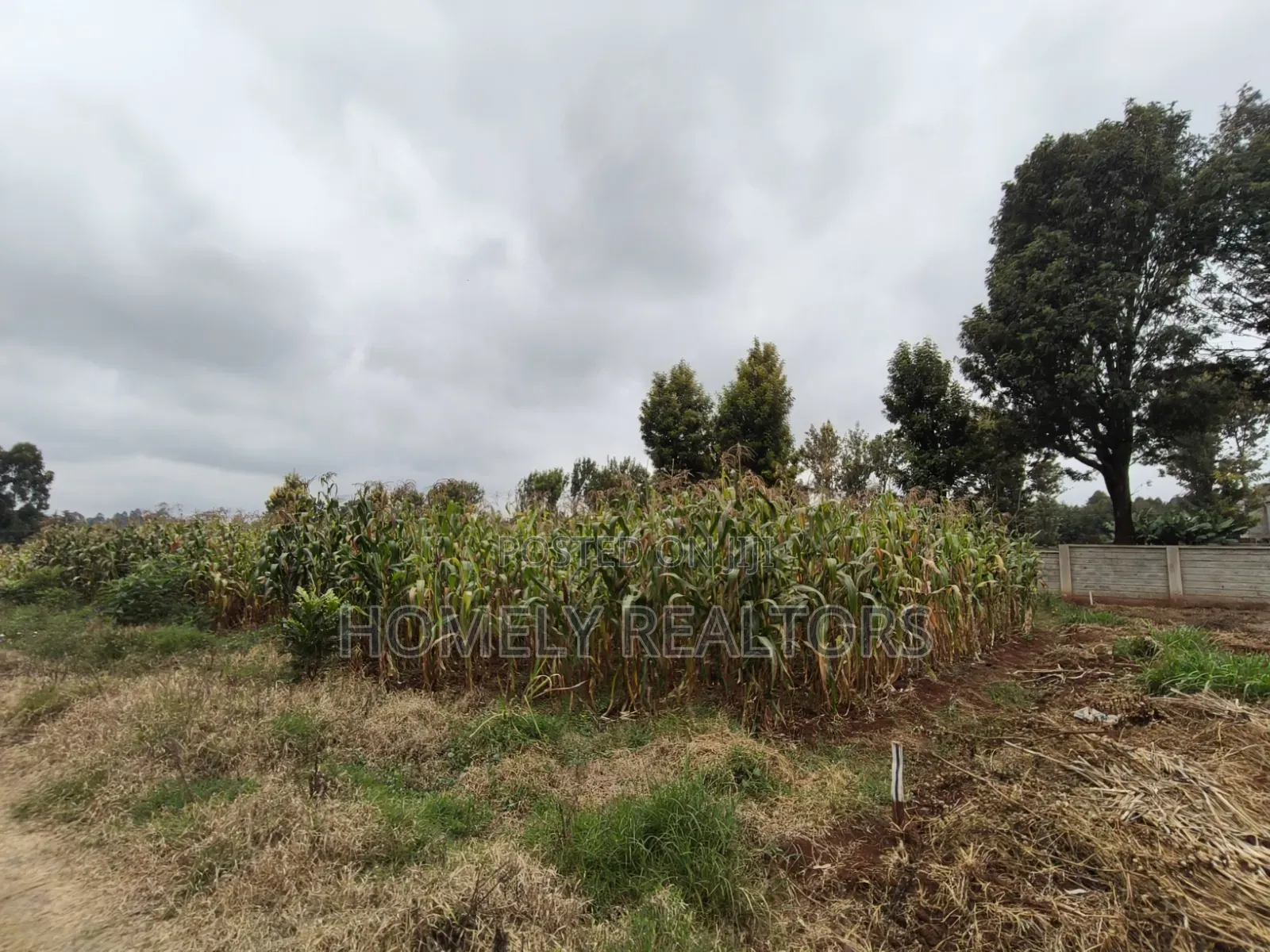 A Secure Gated Community Eighth Acre Plot for Sale in Ondiri, Kikuyu in Karai