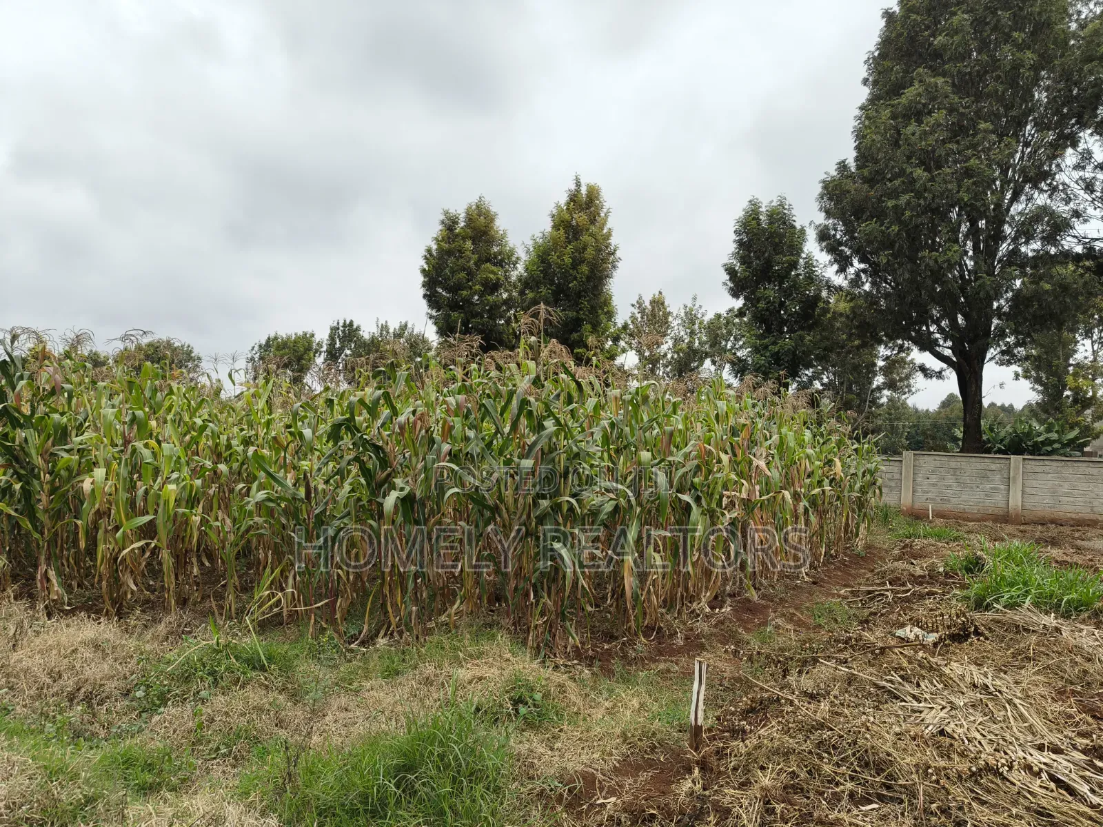 A Secure Gated Community Eighth Acre Plot for Sale in Ondiri, Kikuyu in Karai