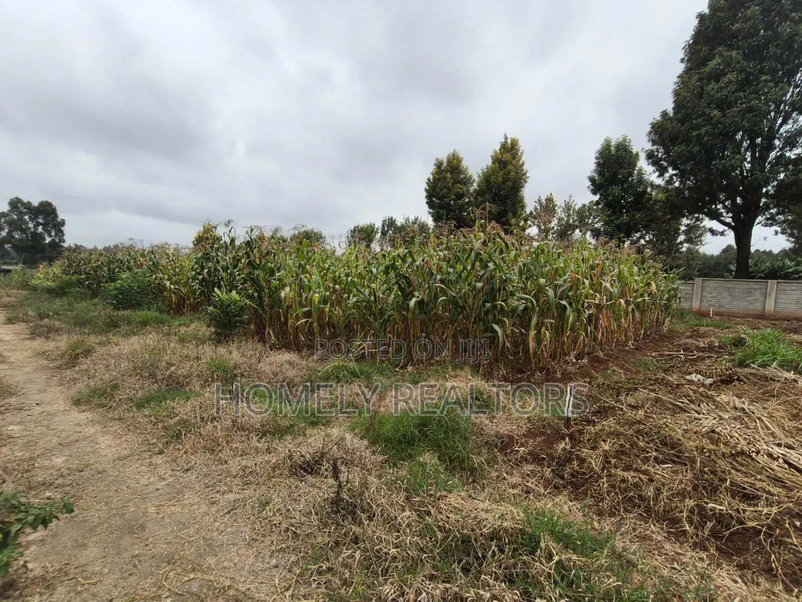 A Secure Gated Community Eighth Acre Plot for Sale in Ondiri, Kikuyu in Karai