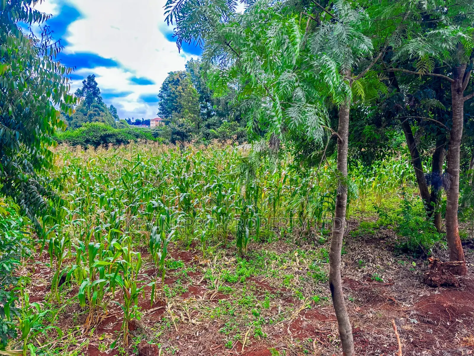 Prime Mixed-Use Land for Sale in Kikuyu,Thogoto in Kikuyu