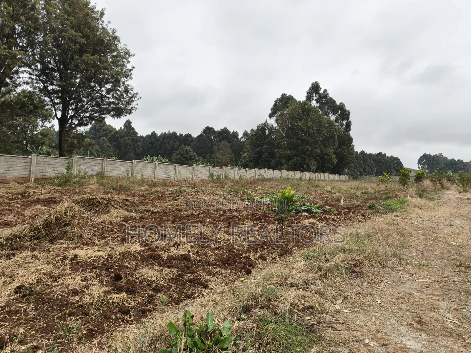 Residential 8th Acre Gated Community Plot for Sale in Kikuyu, Ondiri in Nderi
