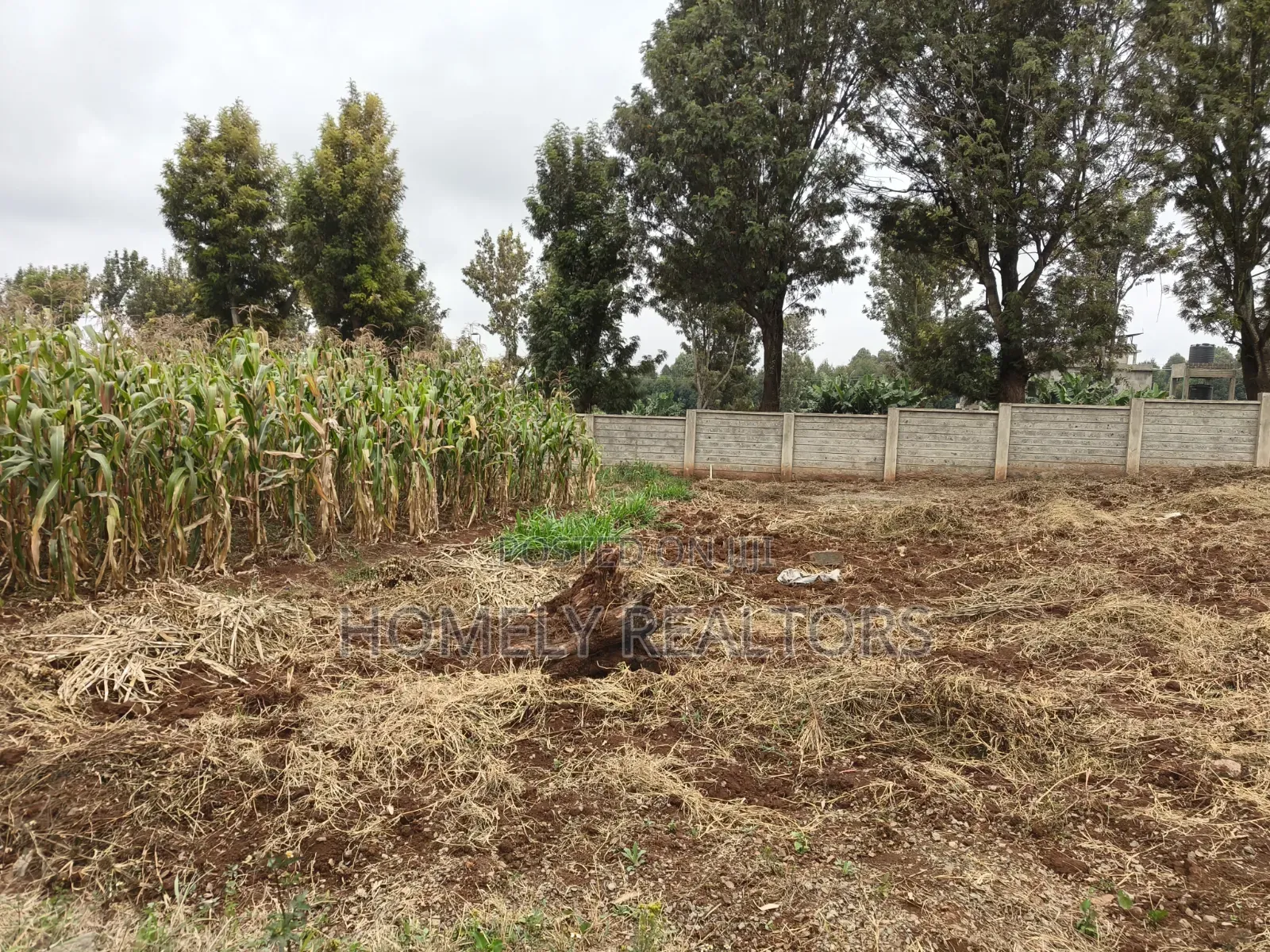 Residential 8th Acre Gated Community Plot for Sale in Kikuyu, Ondiri in Nderi