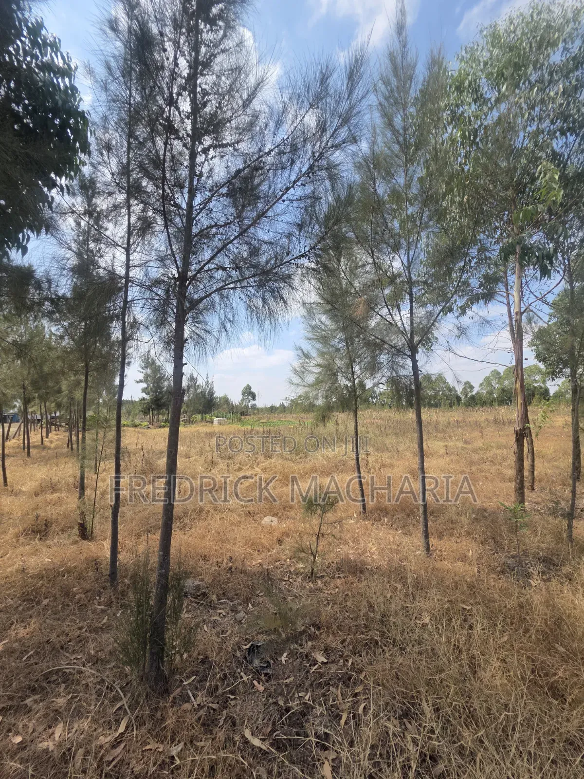 4 Acres for Sale Eastern Bypass in Ruai