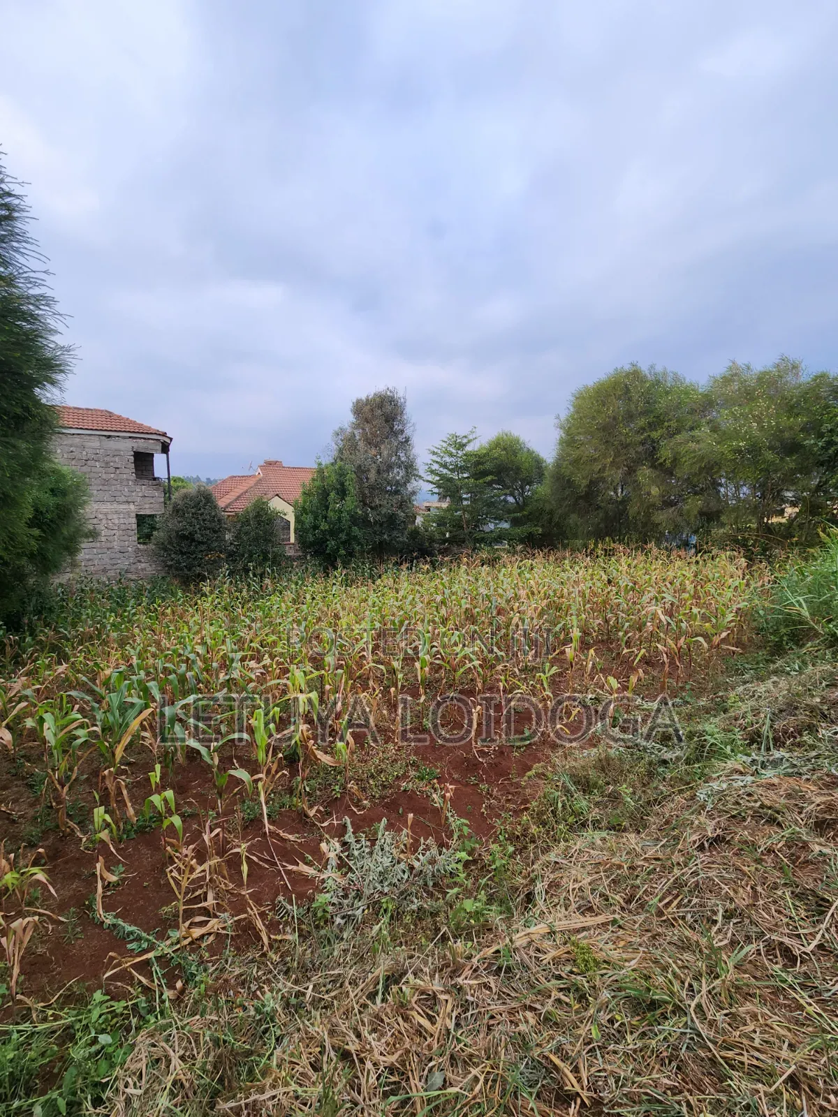 1⁄8 Acre Plots Ngong-Lemiso Rd(Silicon Valley) in Kibiku