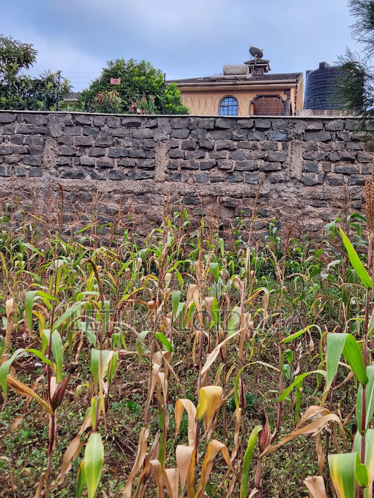 1⁄8 Acre Plots Ngong-Lemiso Rd(Silicon Valley) in Kibiku