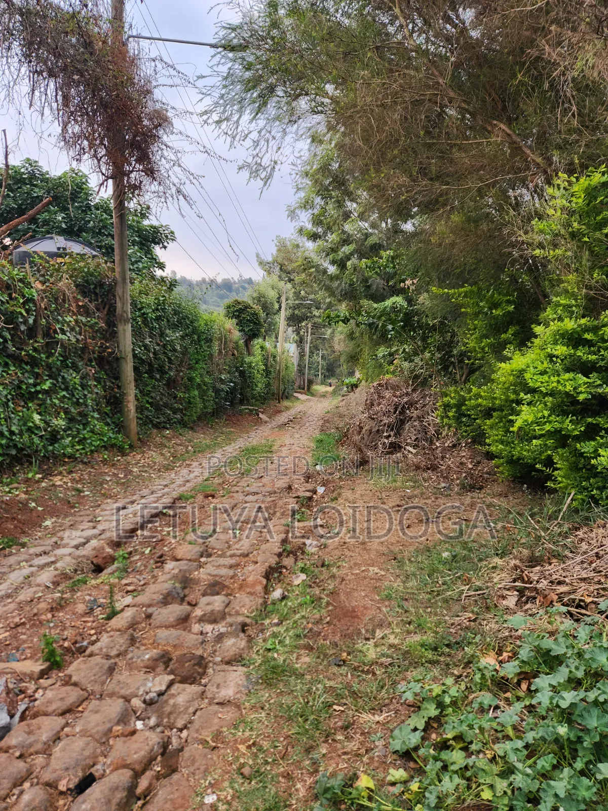 1⁄8 Acre Plots Ngong-Lemiso Rd(Silicon Valley) in Kibiku