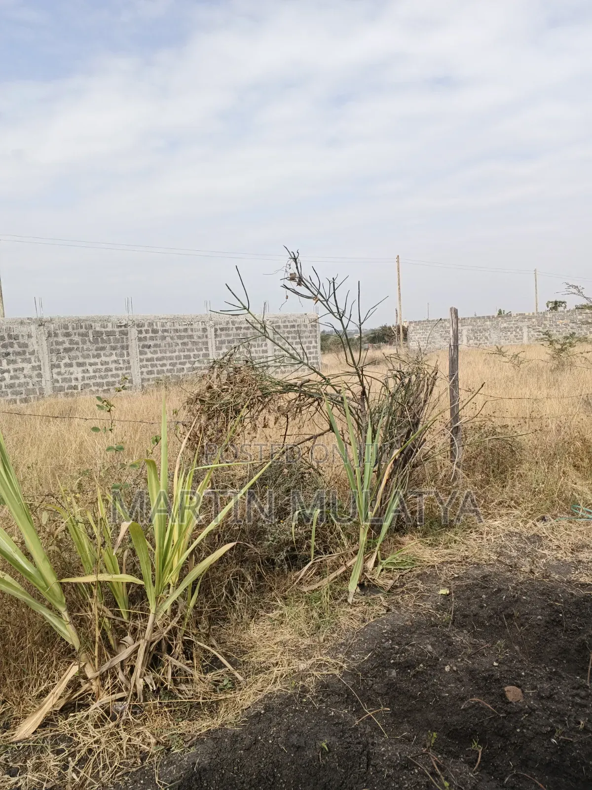 Plot for Sell in Malaa