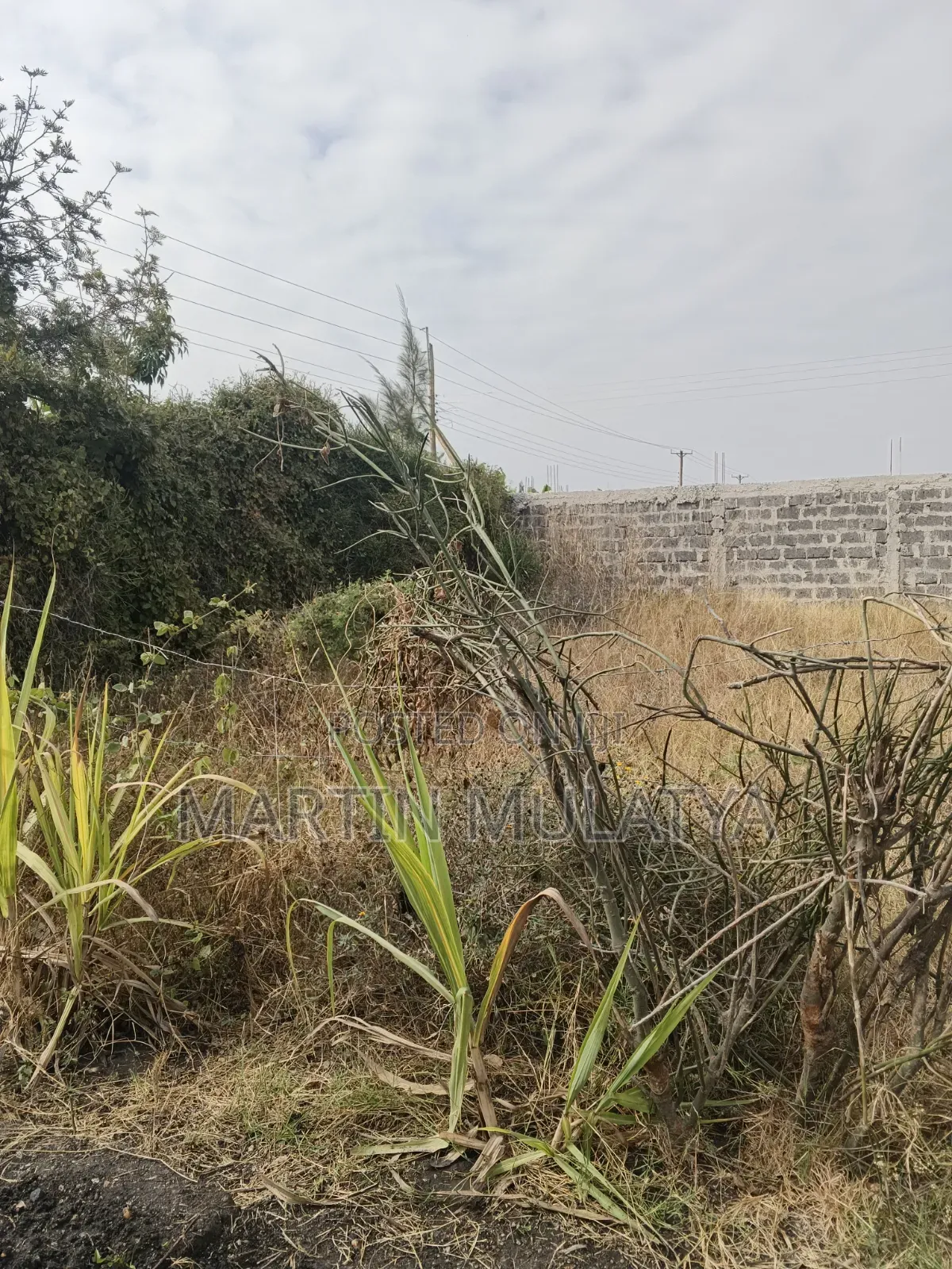 Plot for Sell in Malaa