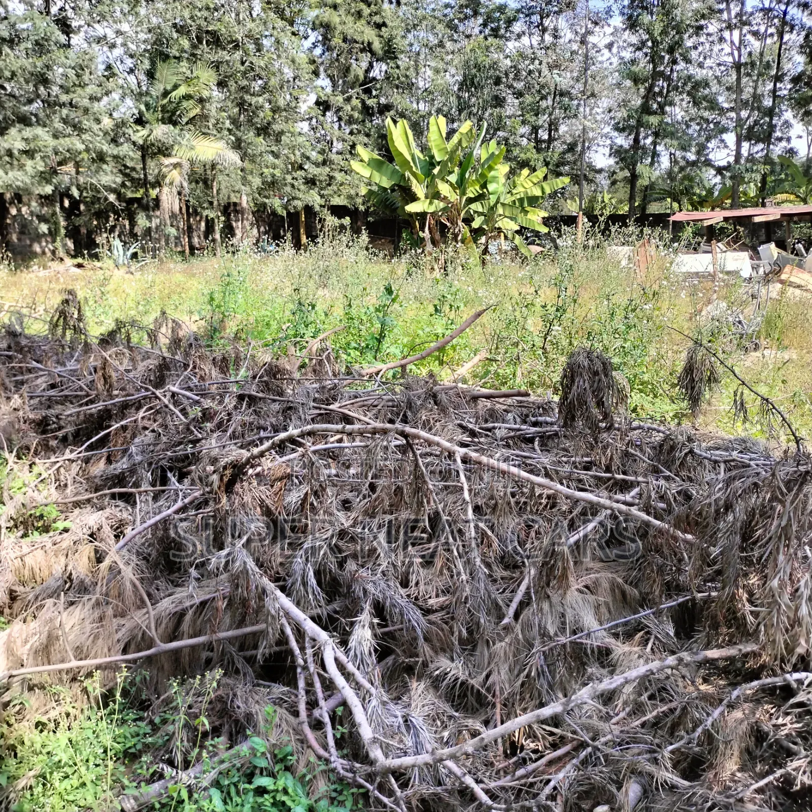 1/2 Acre Plot for Rent/Lease in Karen, Along Lang'ata South Road in Karen