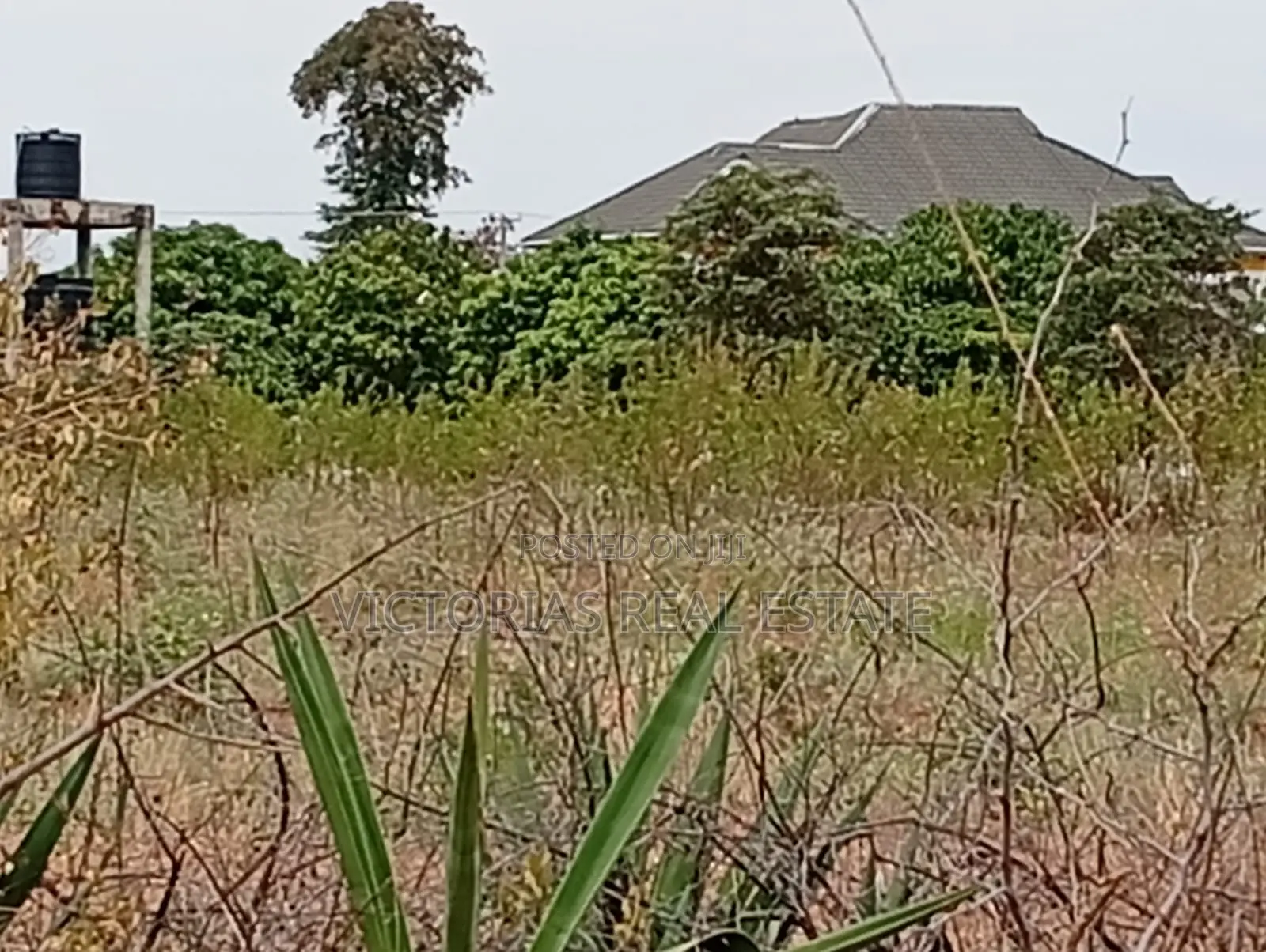 Plots at Mukusu Shopping Centre,kamukuji Masinga Subcounty in Lower Kaewa/Kaani