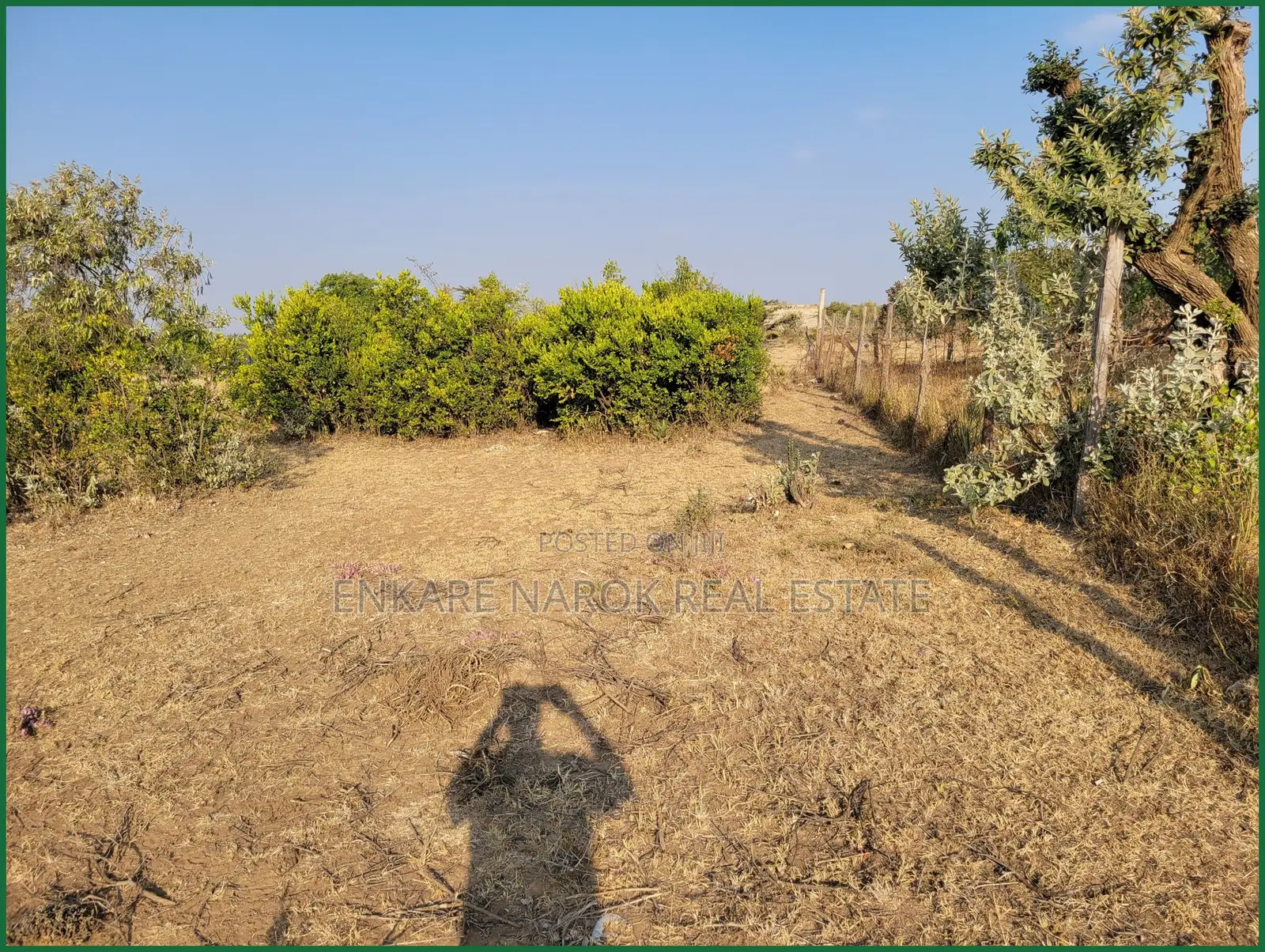 50×100 Plot for Sale in Narok Olerai Near Tumaini | in Narok Town