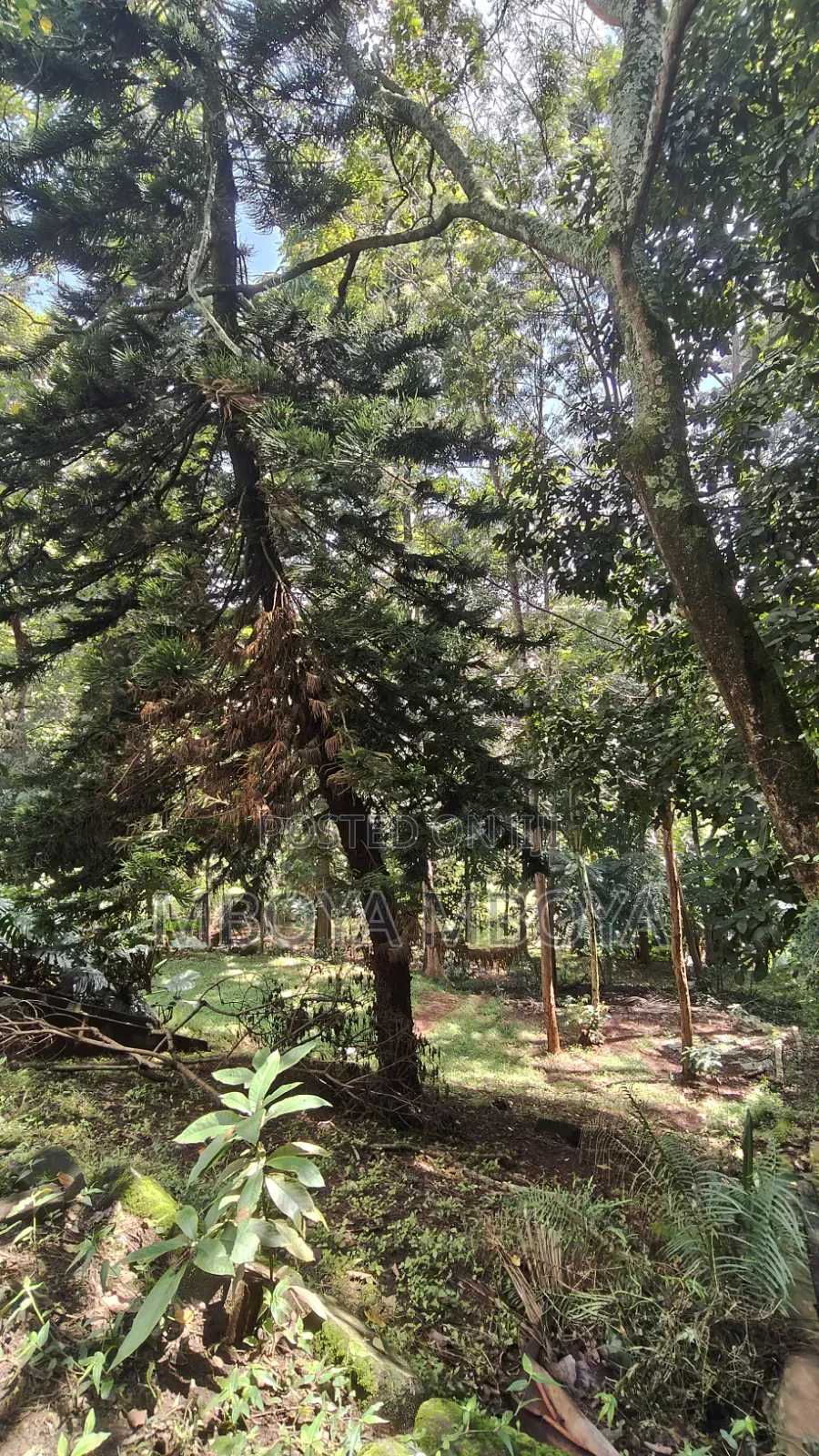 0.9 Acre Commercial Land for Sale in Ngong Road in Hurlingham