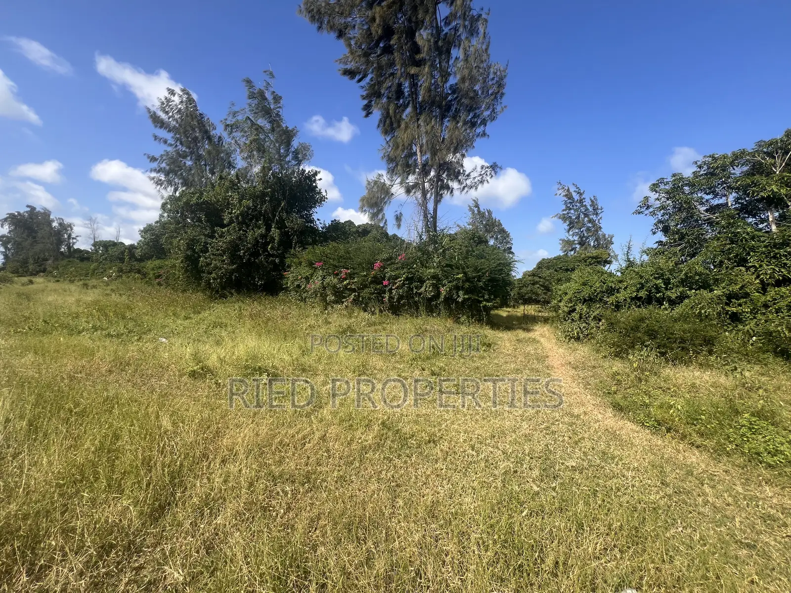 4 Acres in Malindi, Kilifi on the Tarmac for Sale in Malindi