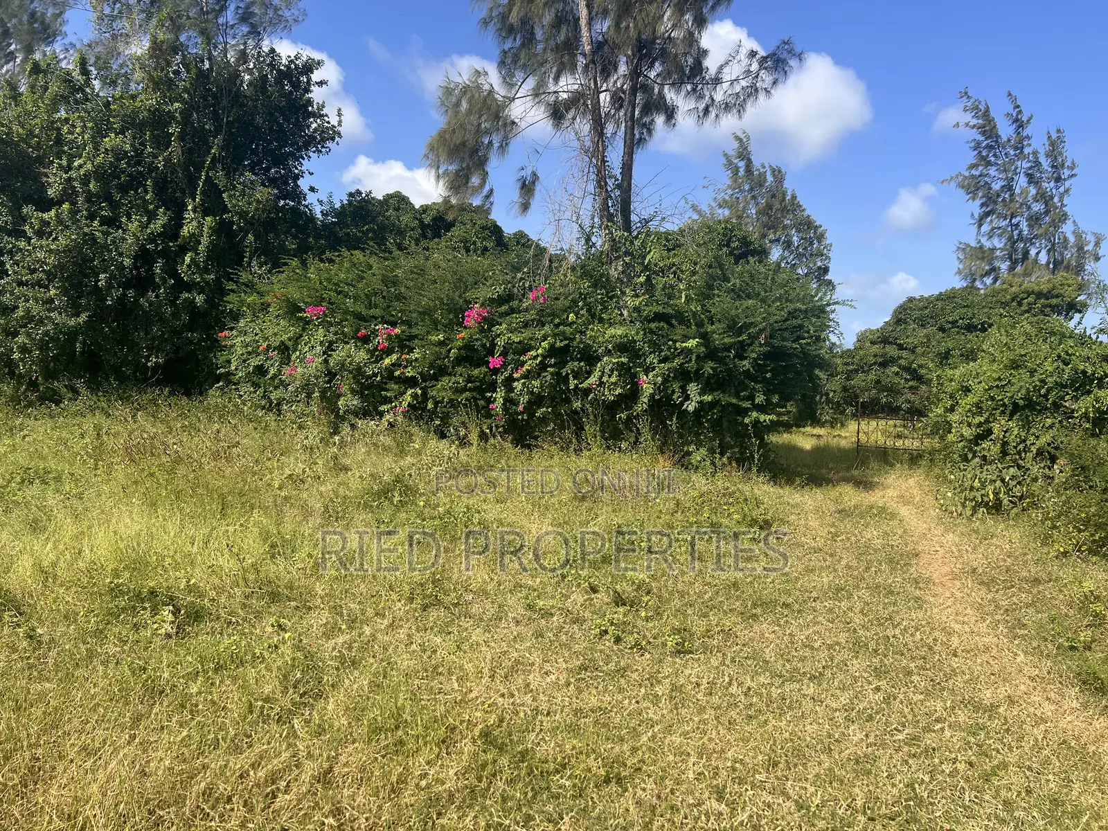 4 Acres in Malindi, Kilifi on the Tarmac for Sale in Malindi
