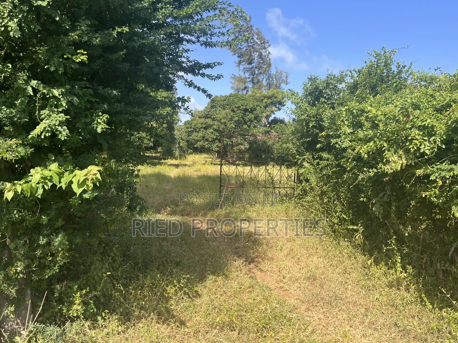 4 Acres in Malindi, Kilifi on the Tarmac for Sale in Malindi