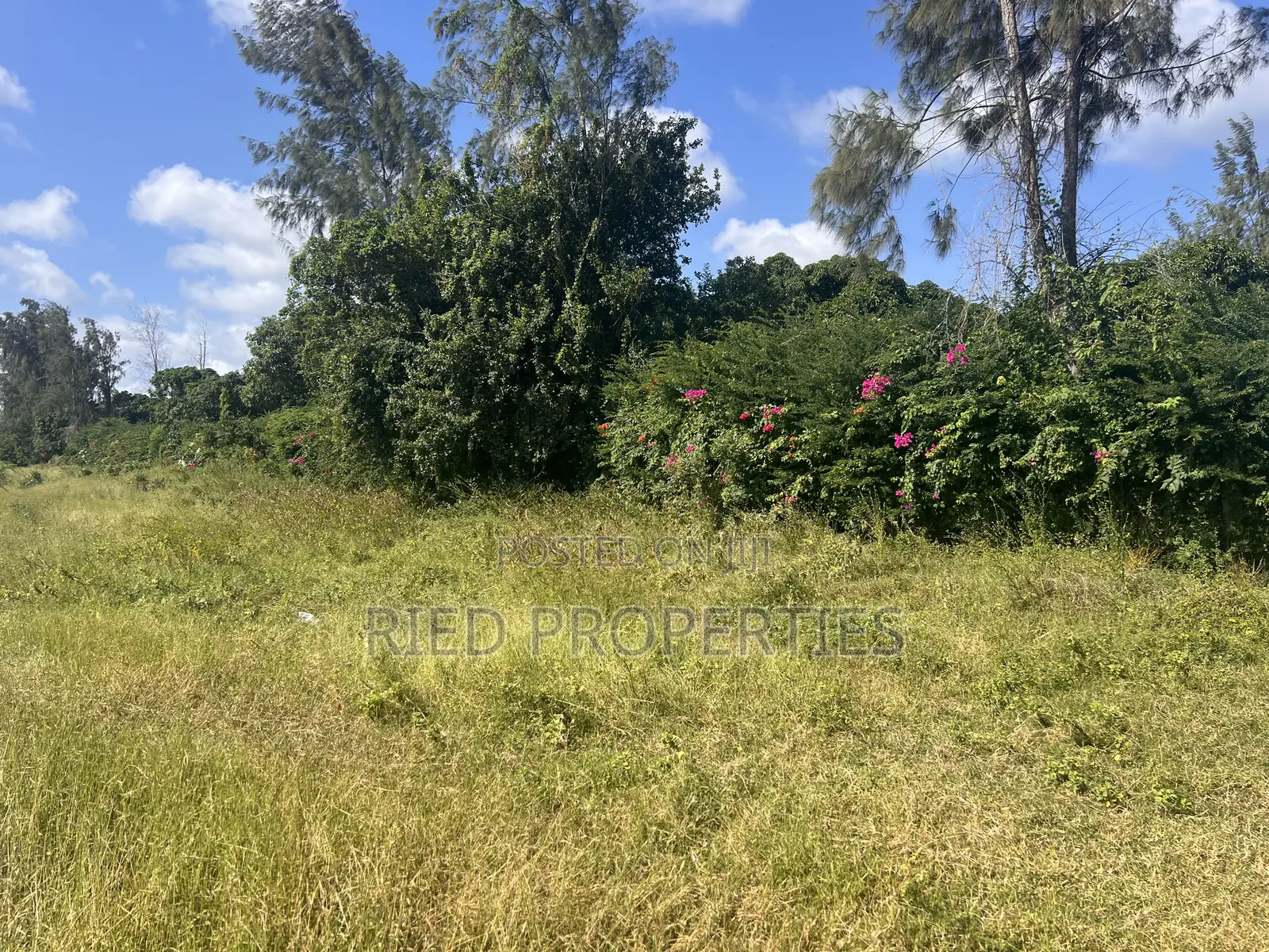 4 Acres in Malindi, Kilifi on the Tarmac for Sale in Malindi