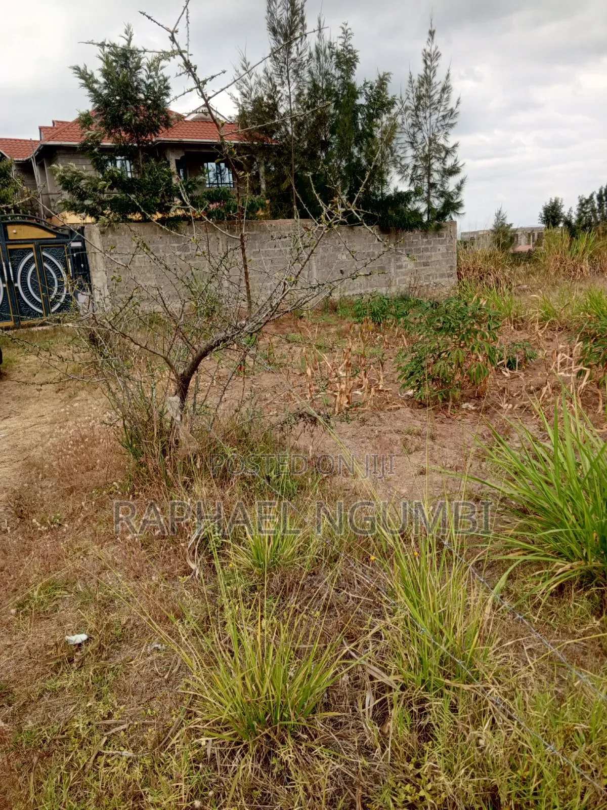 100*100 Plot at Machakos Town Kathome in Machakos Town