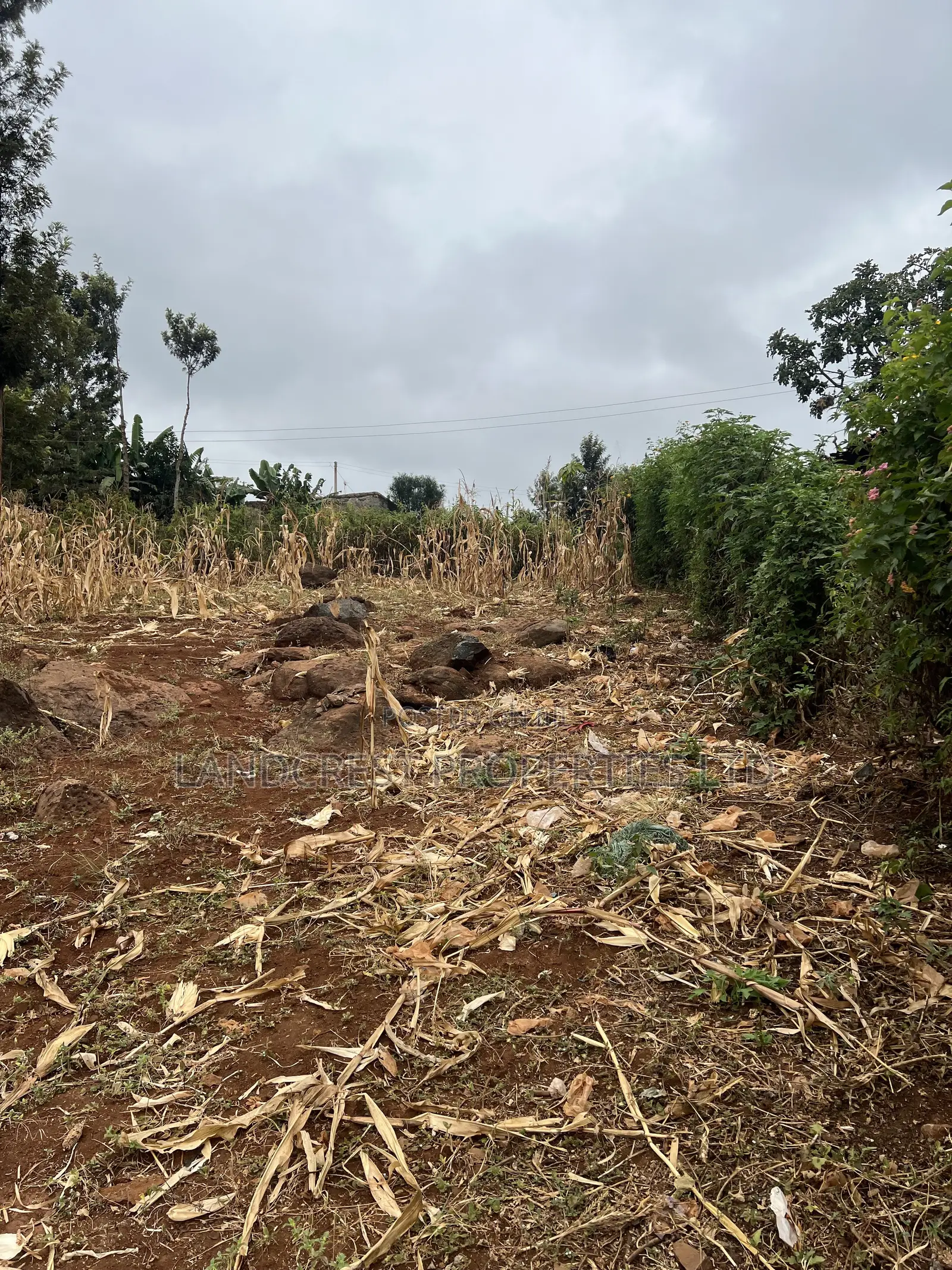 Prime 1/8 Acre for Sale in Maragua,sumary in Murang'a