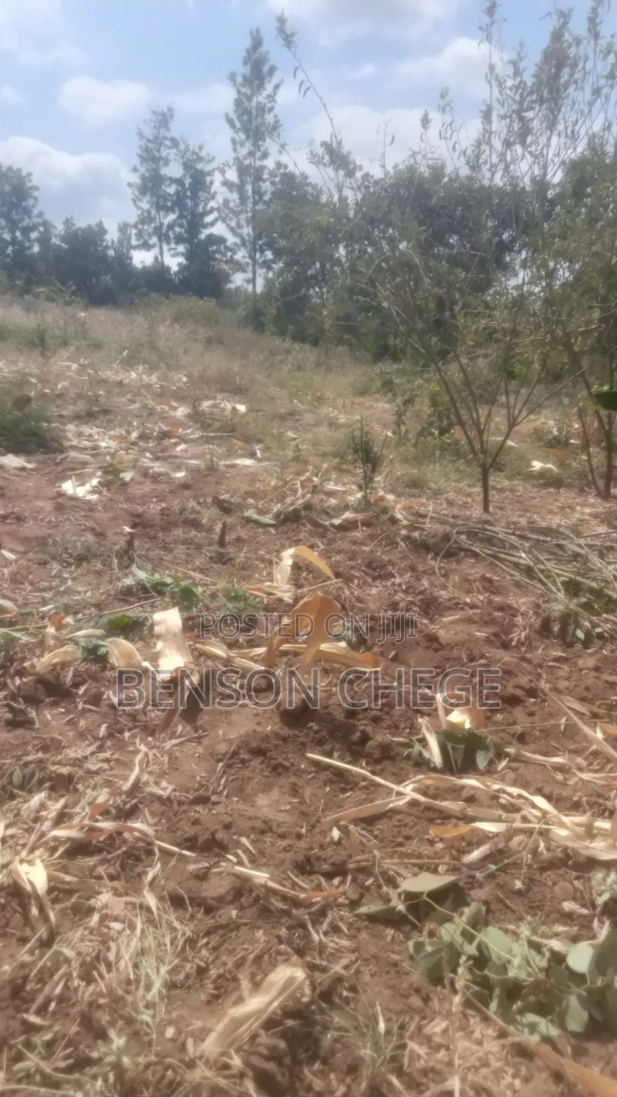 4acre Land for Sale in Maragua Ridge in Kambiti