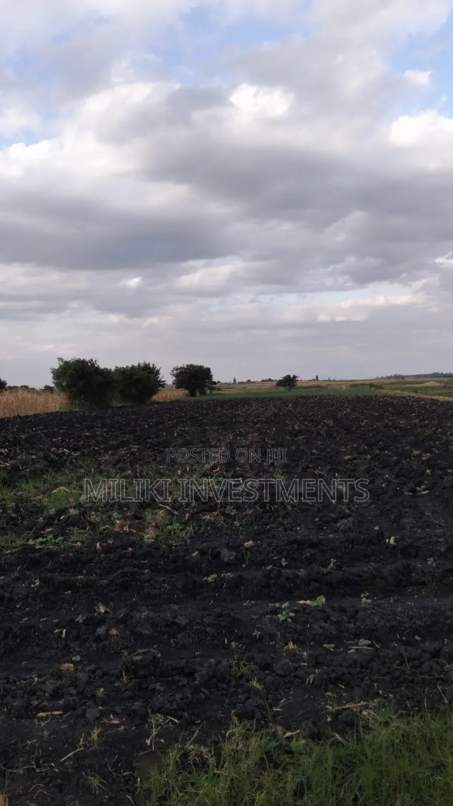 7 Acres of Land on Sale at Kirinyaga-Rukanga in Kerugoya