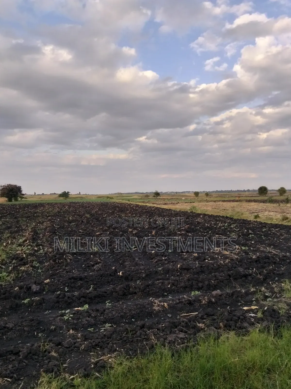 7 Acres of Land on Sale at Kirinyaga-Rukanga in Kerugoya
