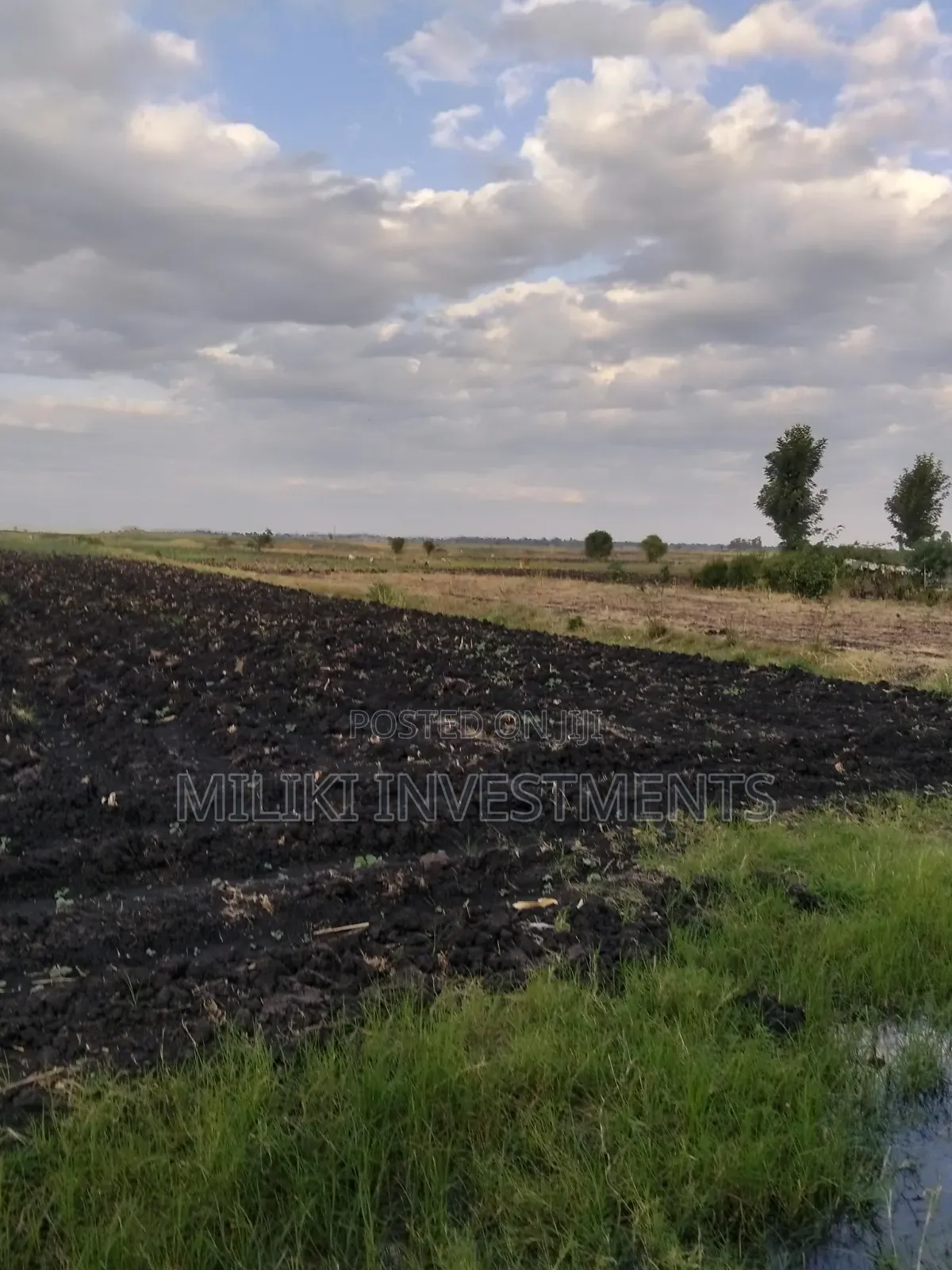 7 Acres of Land on Sale at Kirinyaga-Rukanga in Kerugoya