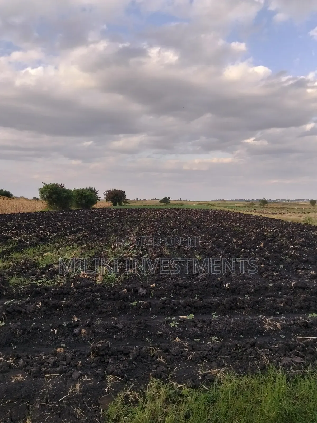 7 Acres of Land on Sale at Kirinyaga-Rukanga in Kerugoya