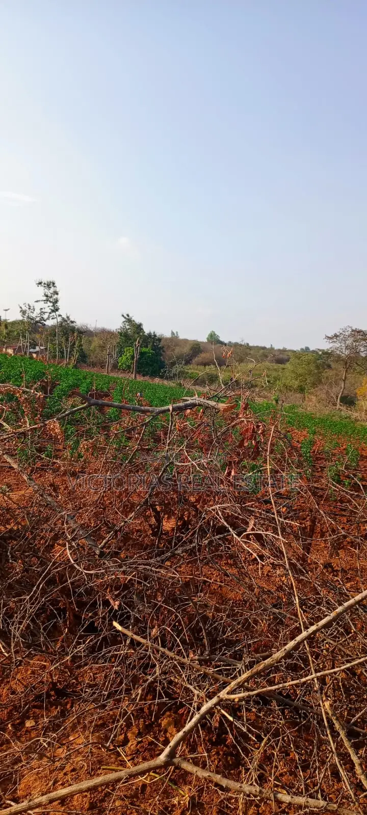 Plots at Kivaa, Masinga Subcounty Machakos Country. in Kivaa