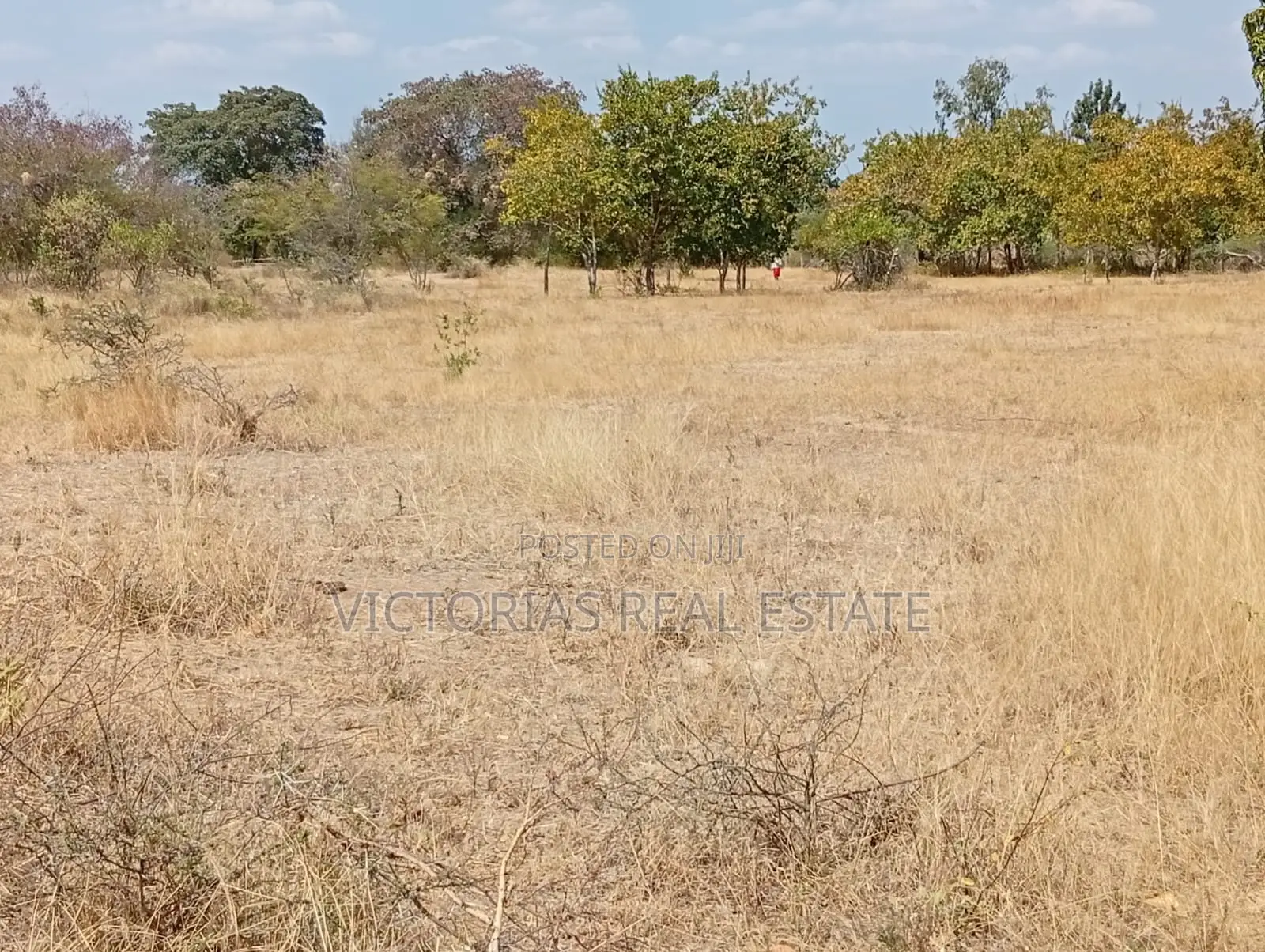 Plots at Miangeni Kithyoko Masinga Subcounty in Kithyoko