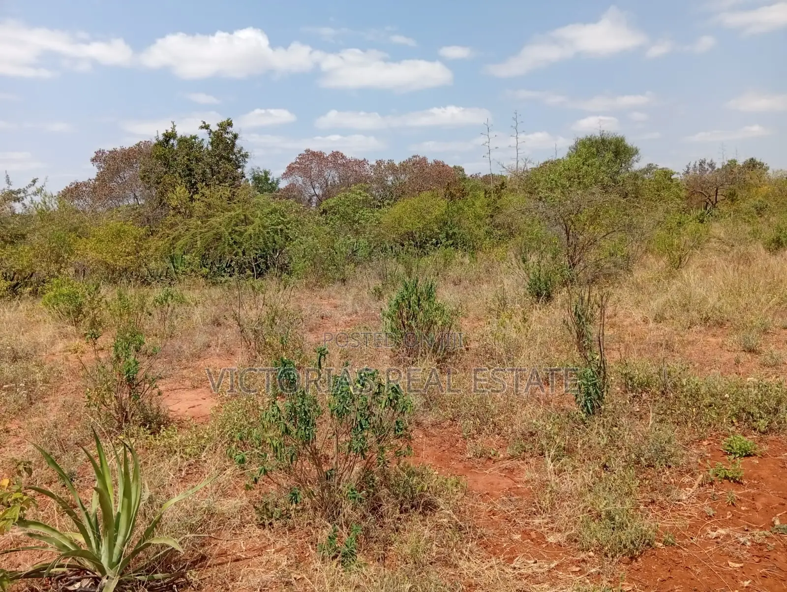 Plots at Miangeni Kithyoko Masinga Subcounty in Kithyoko