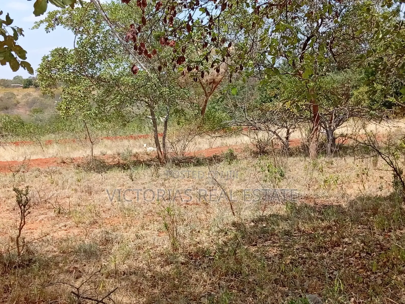 Plots at Miangeni Kithyoko Masinga Subcounty in Kithyoko