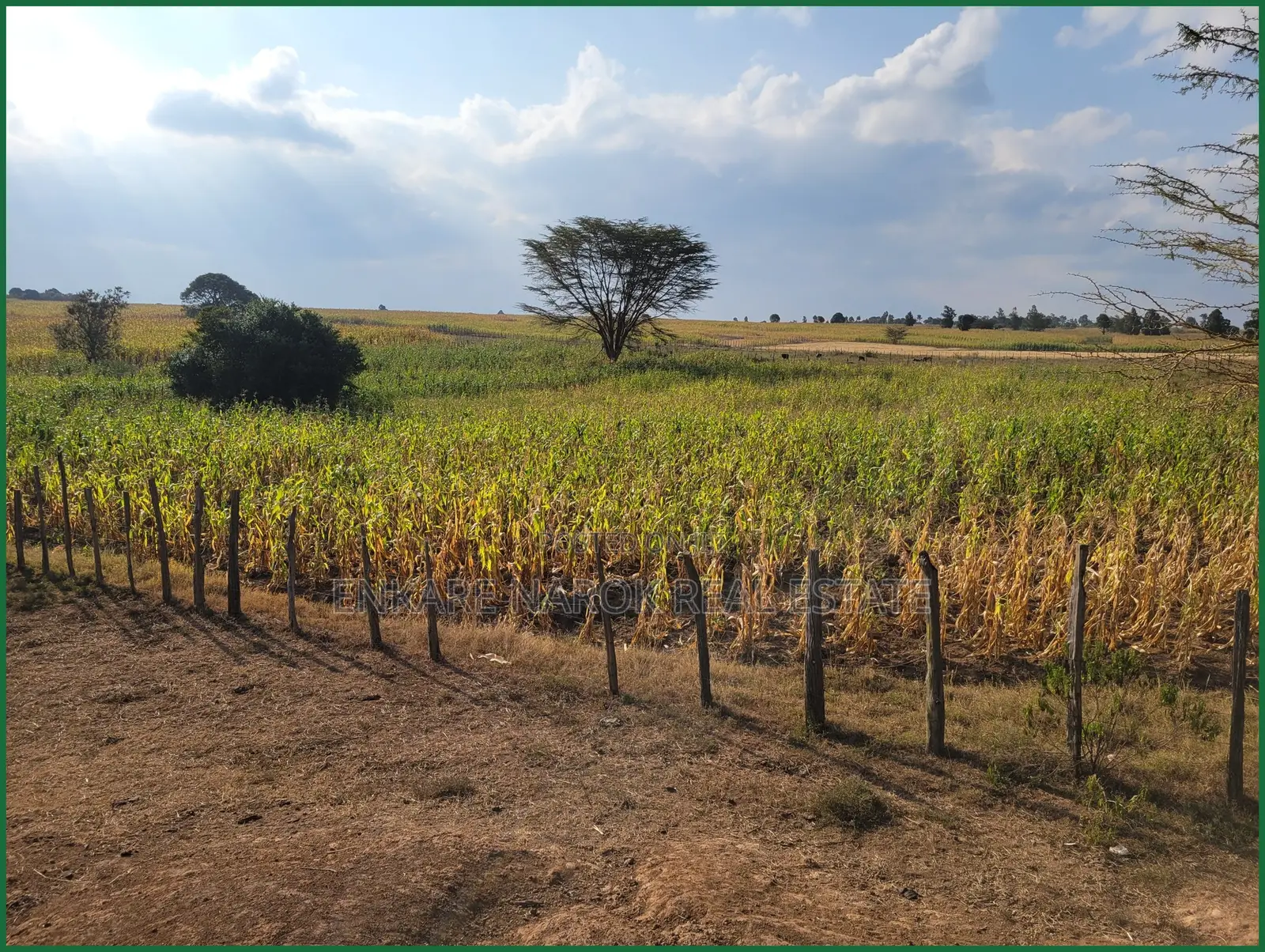 10 Acres of Fenced Agricultural Land for Sale in Olorroito, Narok in Narok Town