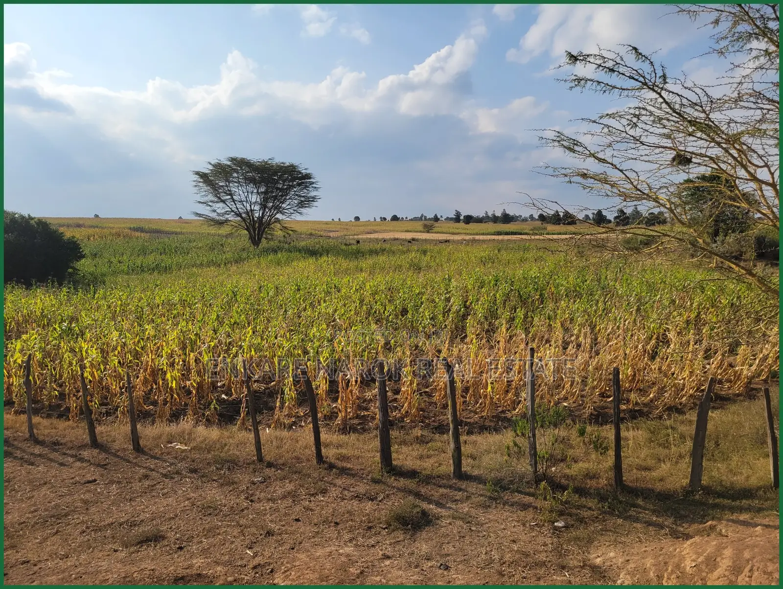 10 Acres of Fenced Agricultural Land for Sale in Olorroito, Narok in Narok Town