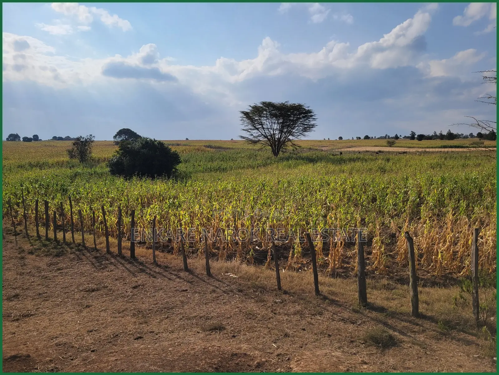 10 Acres of Fenced Agricultural Land for Sale in Olorroito, Narok in Narok Town