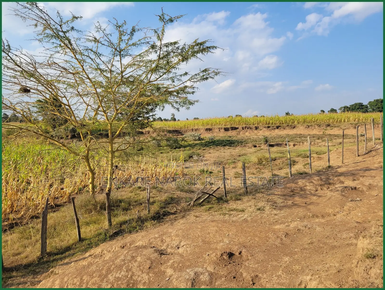 10 Acres of Fenced Agricultural Land for Sale in Olorroito, Narok in Narok Town