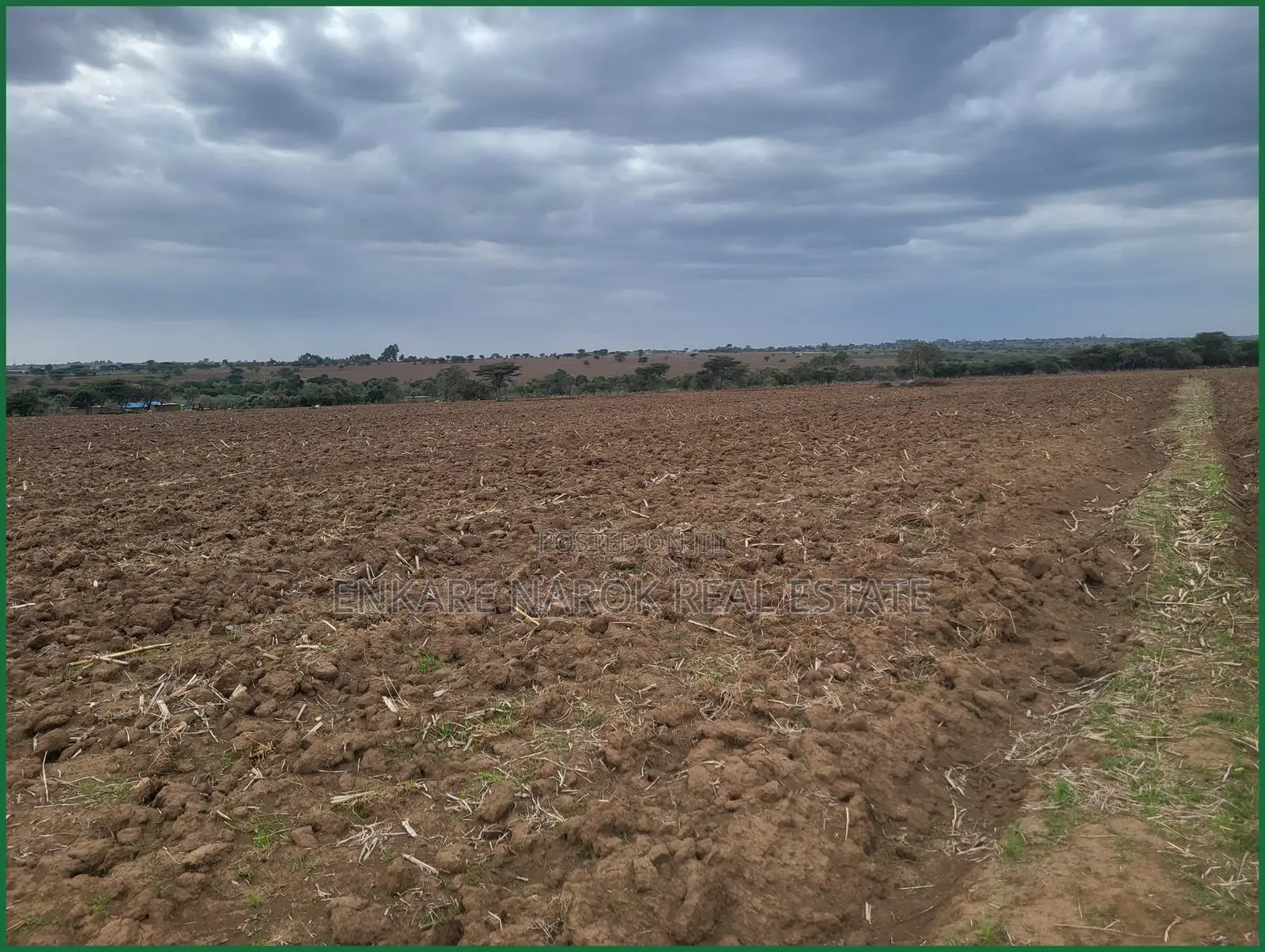 14-Acre Agricultural Farm for Sale in Nairaserasa Near Narok — 14M in Narok Town