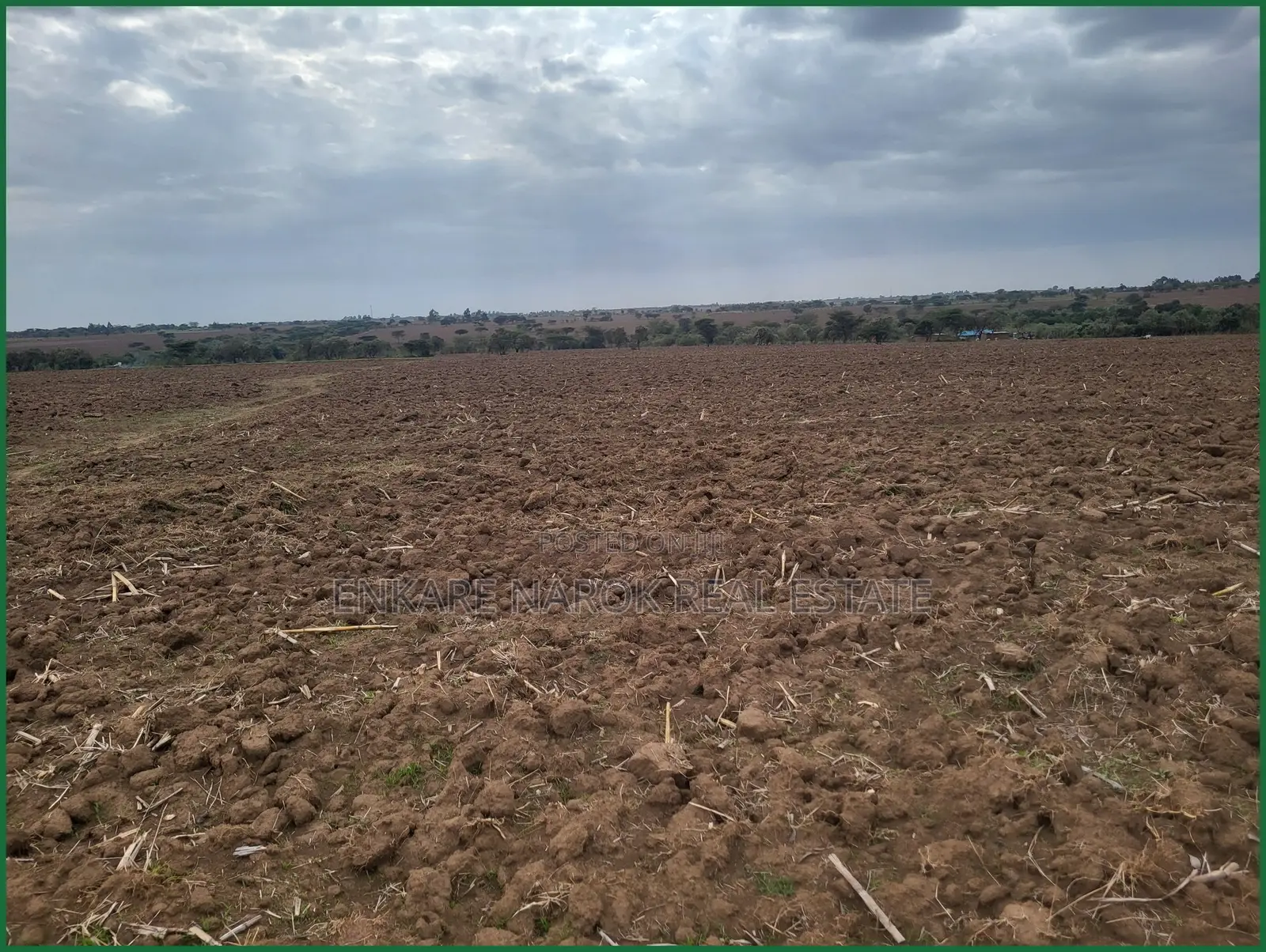 14-Acre Agricultural Farm for Sale in Nairaserasa Near Narok — 14M in Narok Town