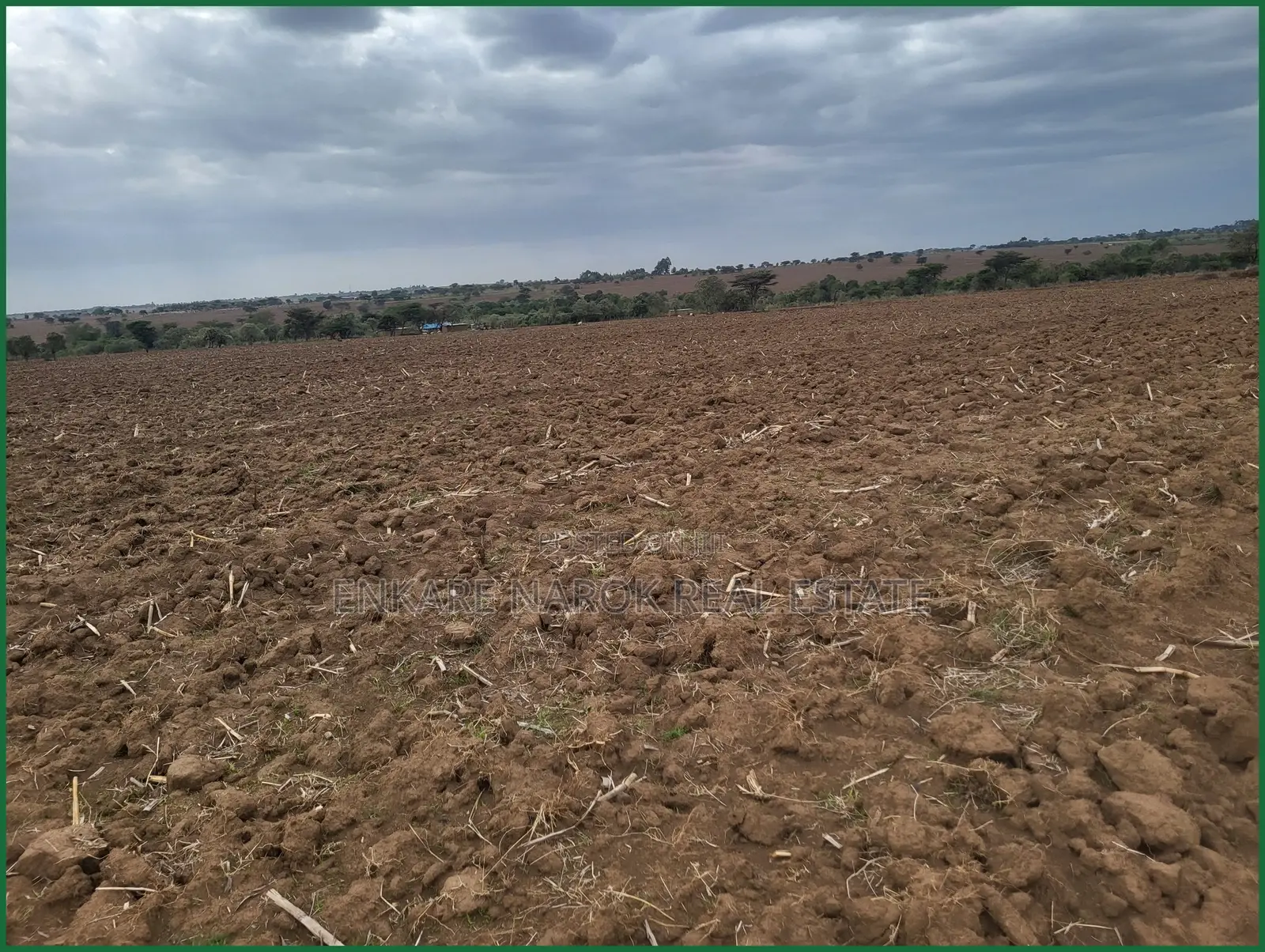 14-Acre Agricultural Farm for Sale in Nairaserasa Near Narok — 14M in Narok Town