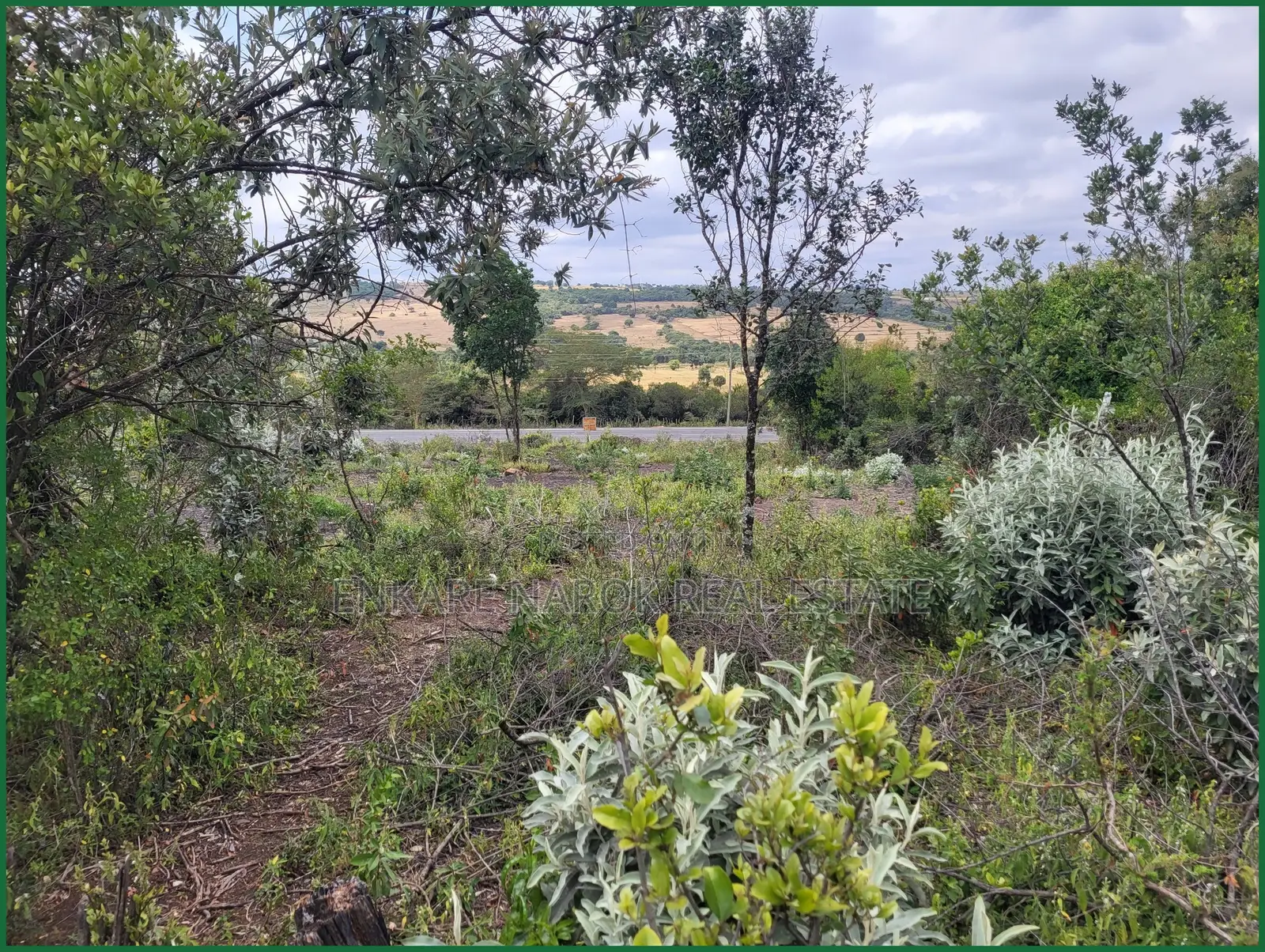 50×100 Plots for Sale in Narok Motonyi, 150–500 M From Tarmac—KSh in Narok Town