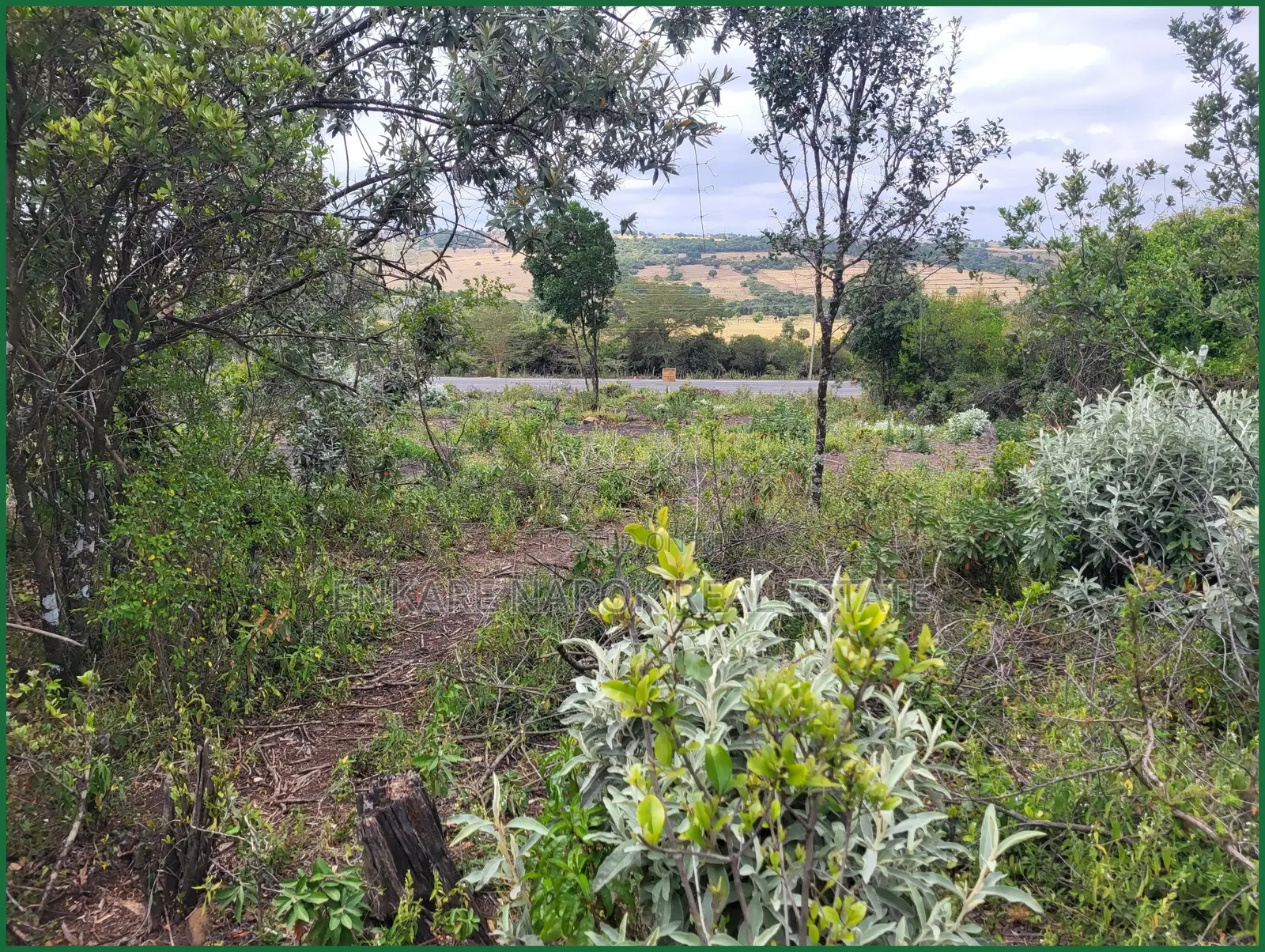 50×100 Plots for Sale in Narok Motonyi, 150–500 M From Tarmac—KSh in Narok Town