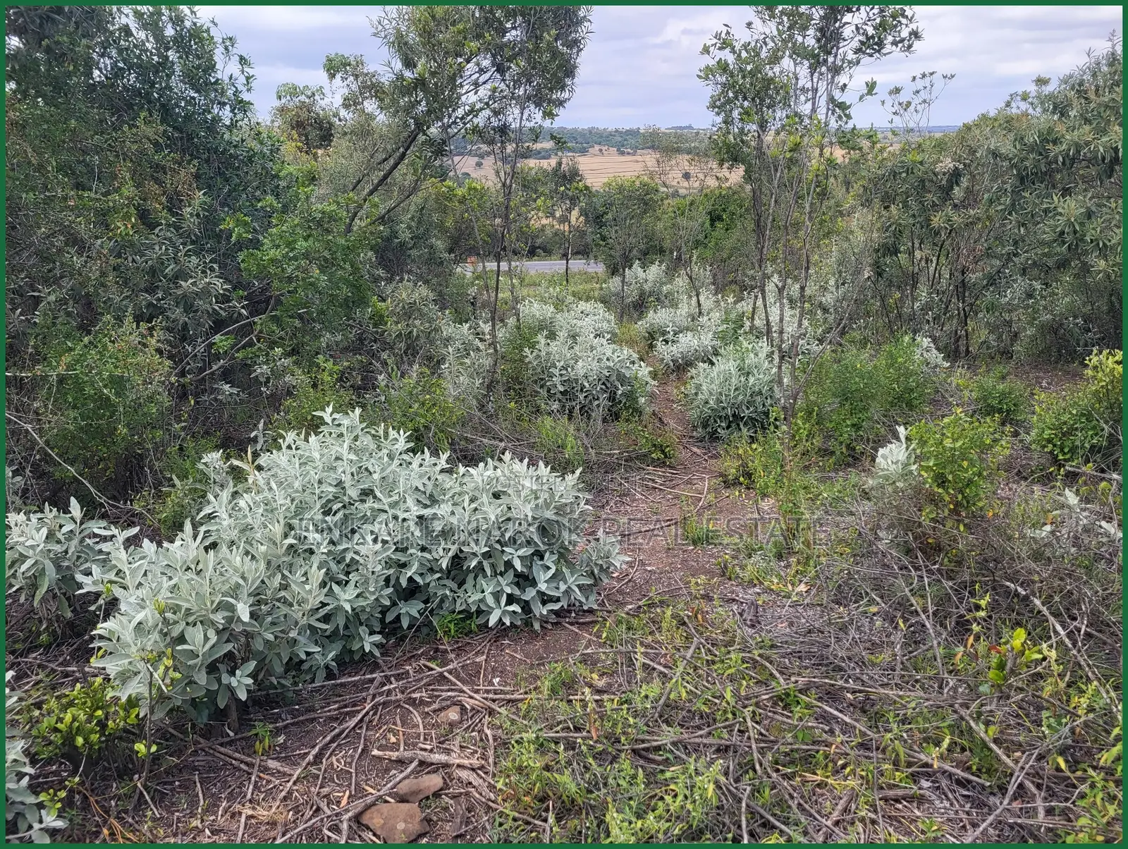 50×100 Plots for Sale in Narok Motonyi, 150–500 M From Tarmac—KSh in Narok Town
