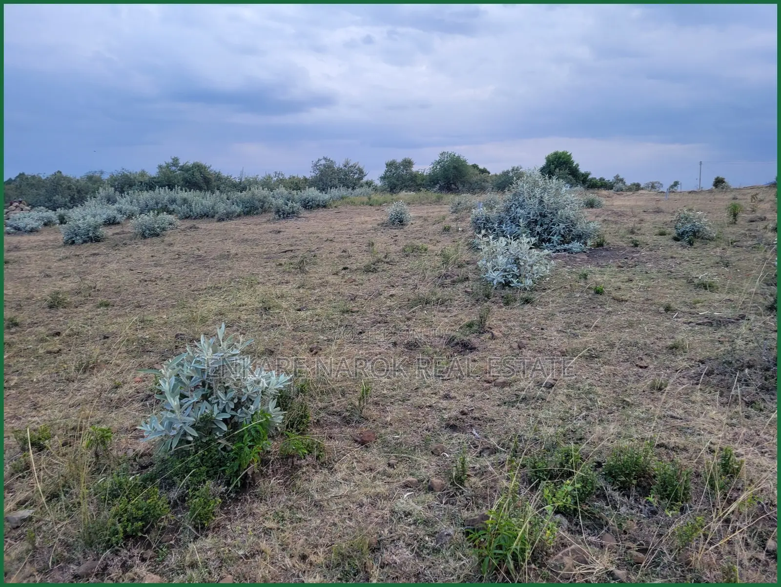 50×100 Plots for Sale in Narok Near Fr Ntaiyia School in Narok Town