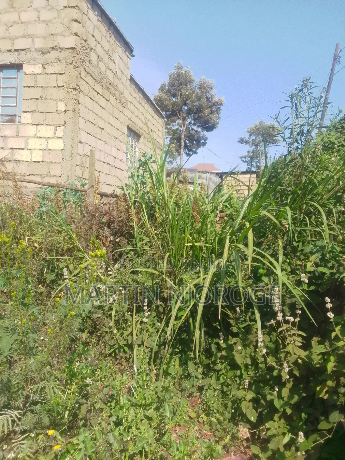 50 by 100 Kwambira in Limuru CBD