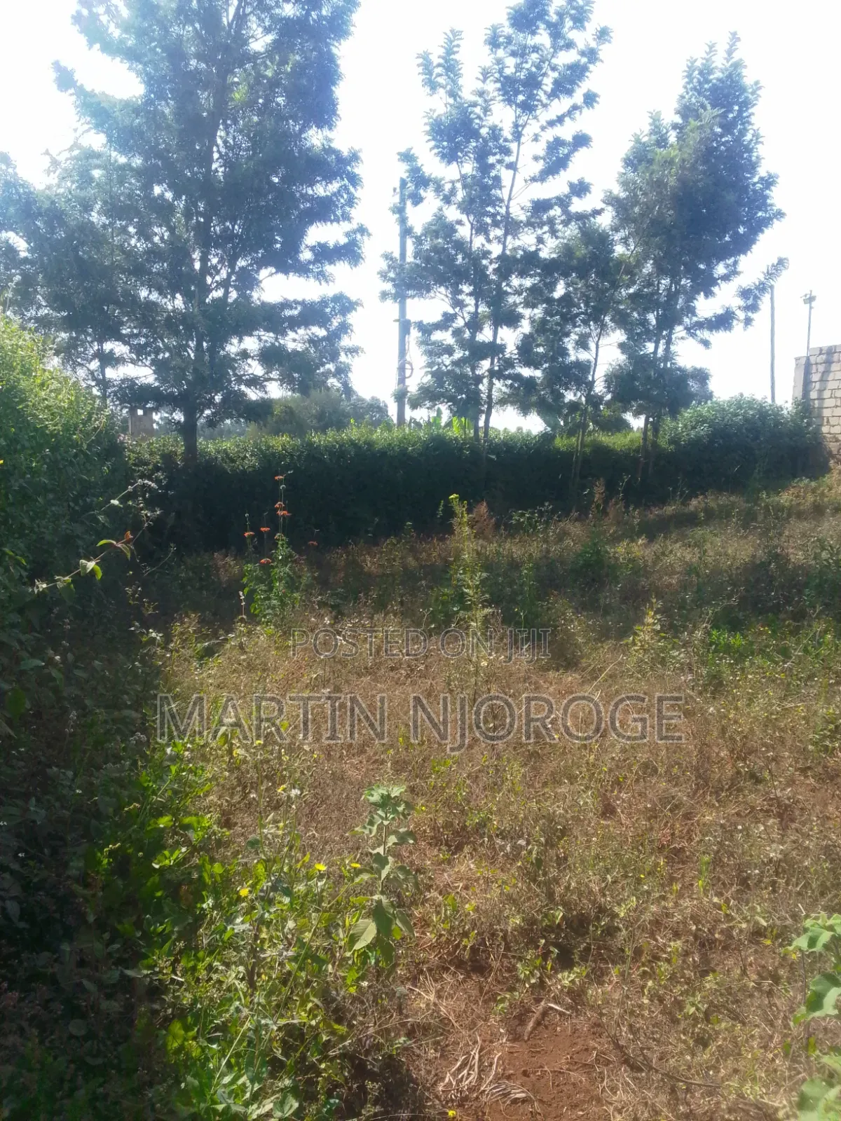 50 by 100 Kwambira in Limuru CBD
