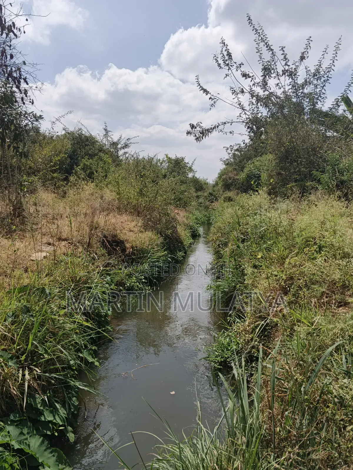 Land for Sell in NYS Area