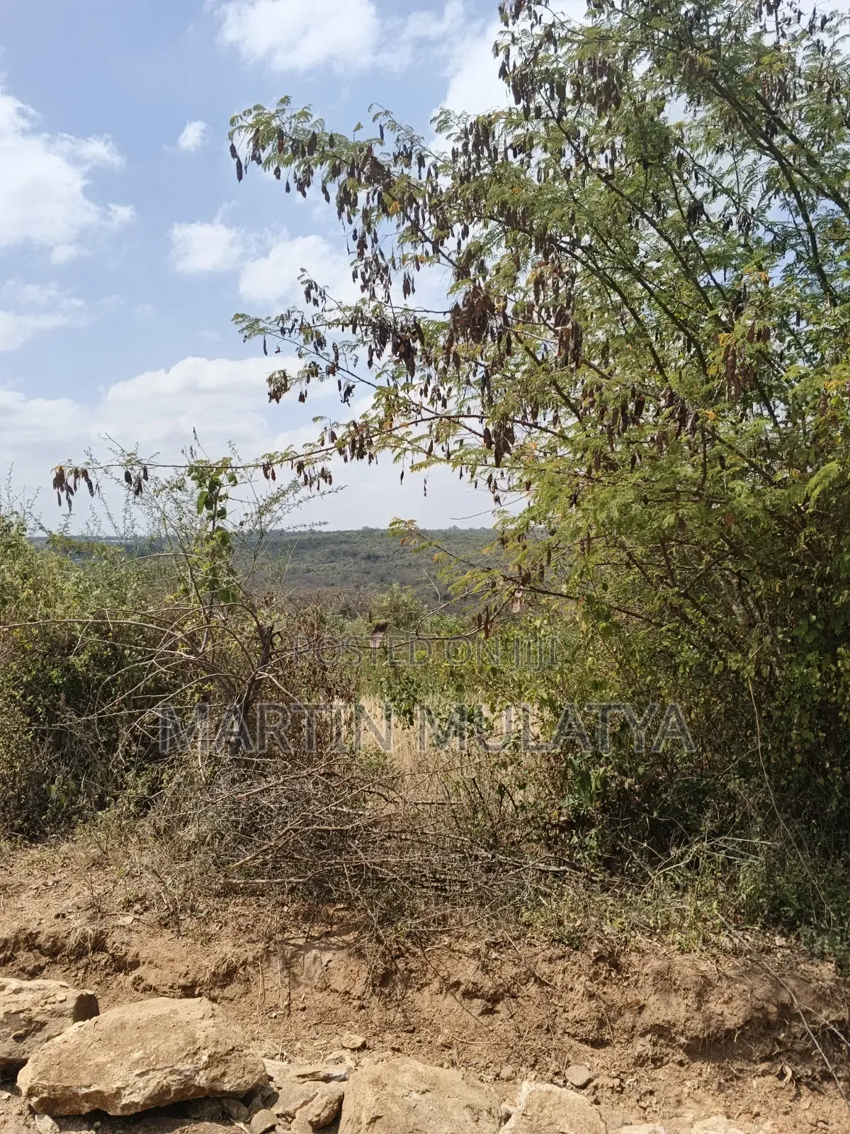 Land for Sell in NYS Area