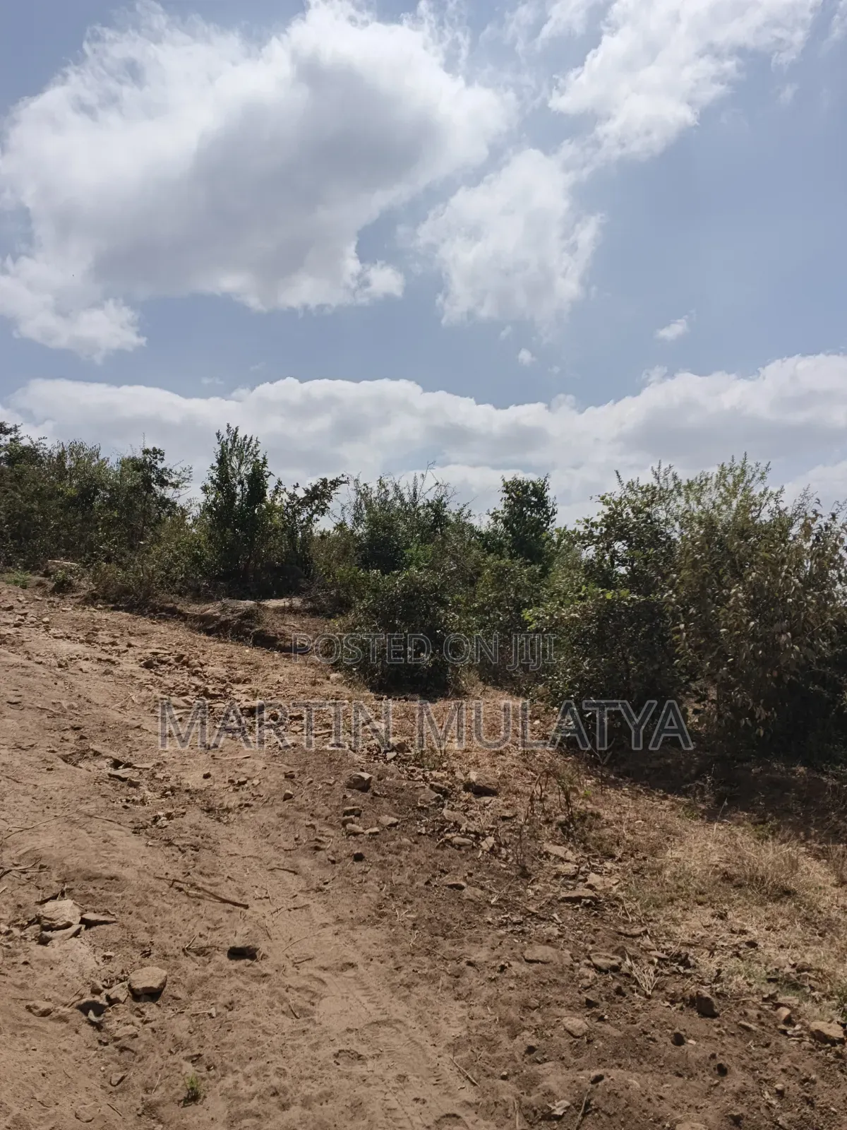 Land for Sell in NYS Area