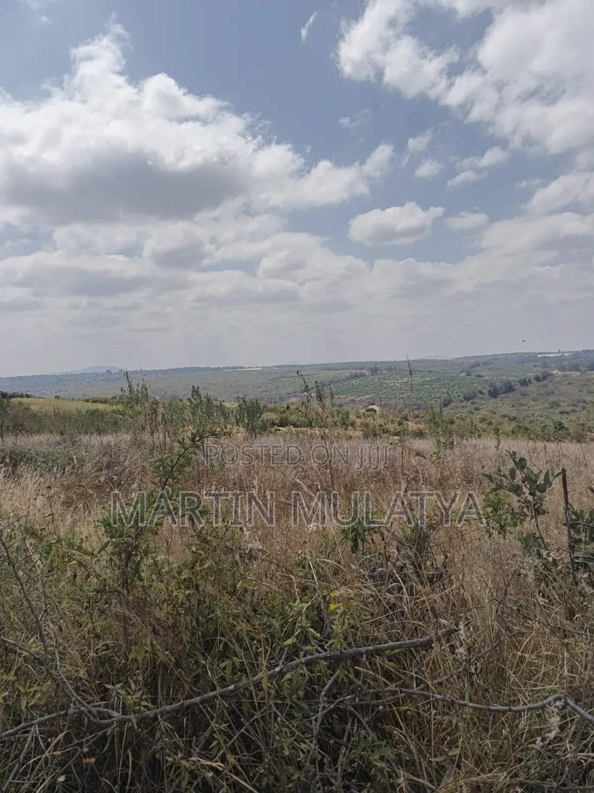 Land for Sell in NYS Area