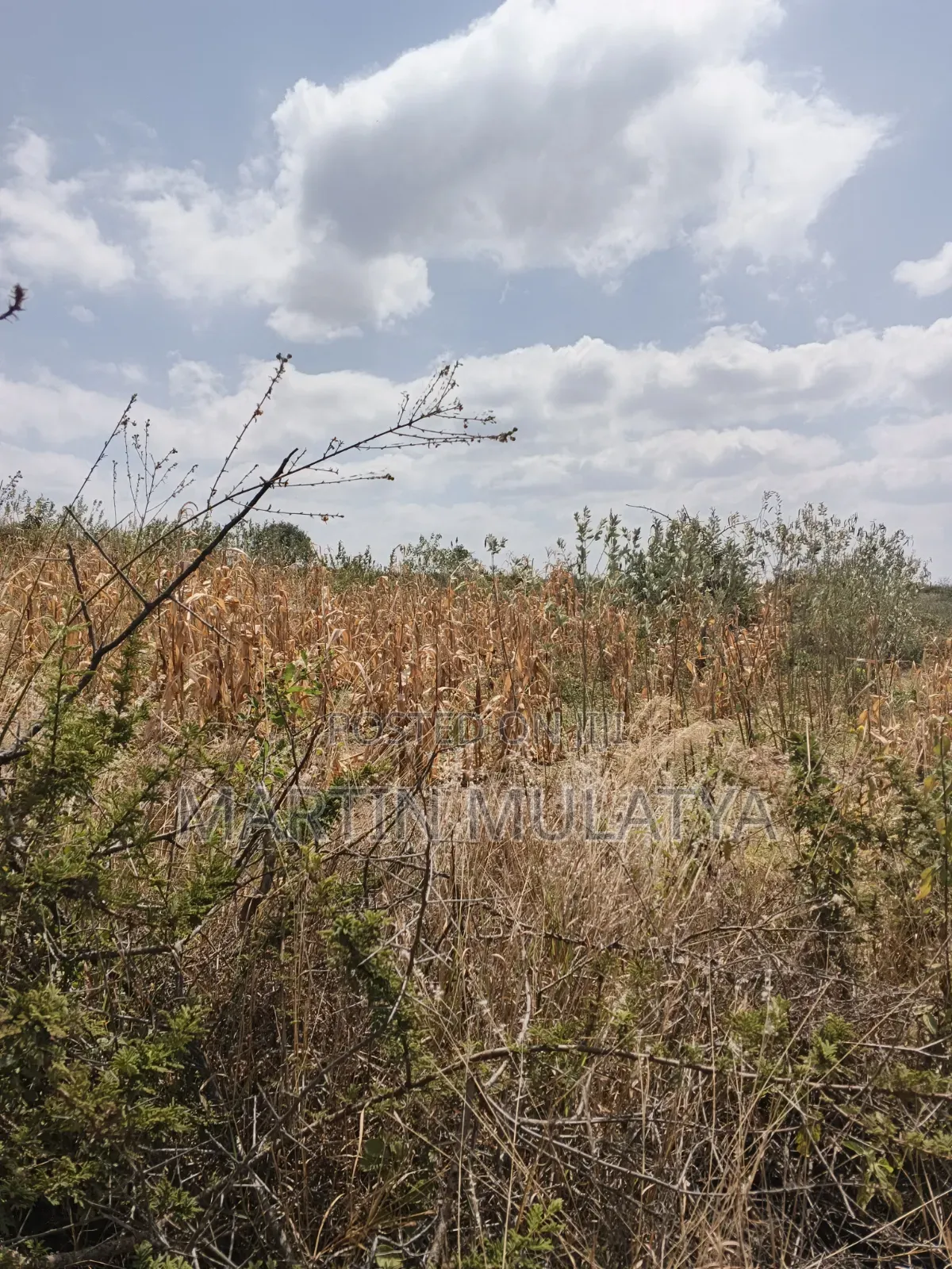 Land for Sell in NYS Area